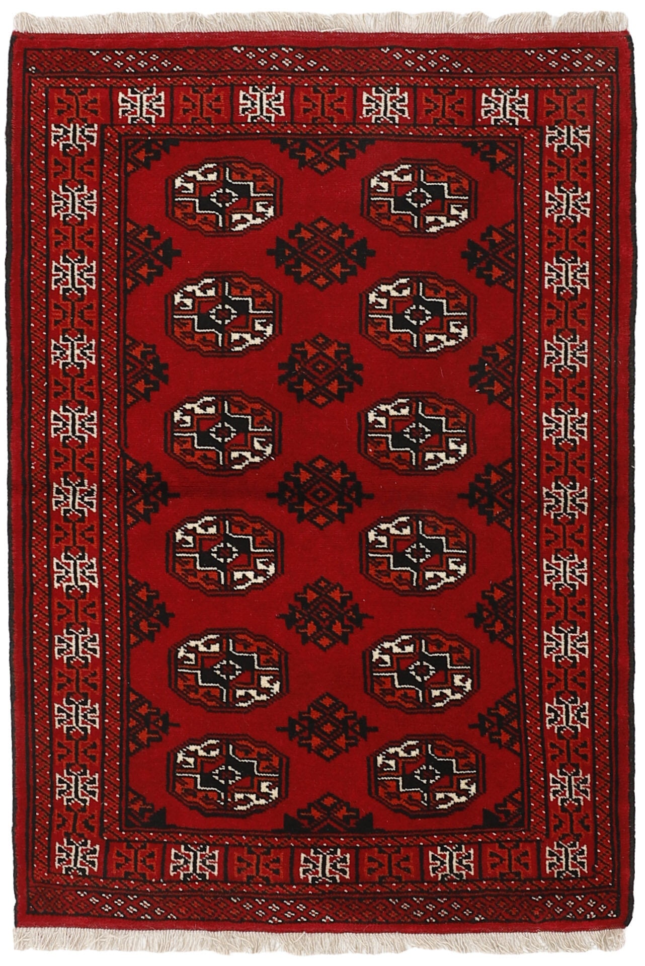 Torkaman 1484976