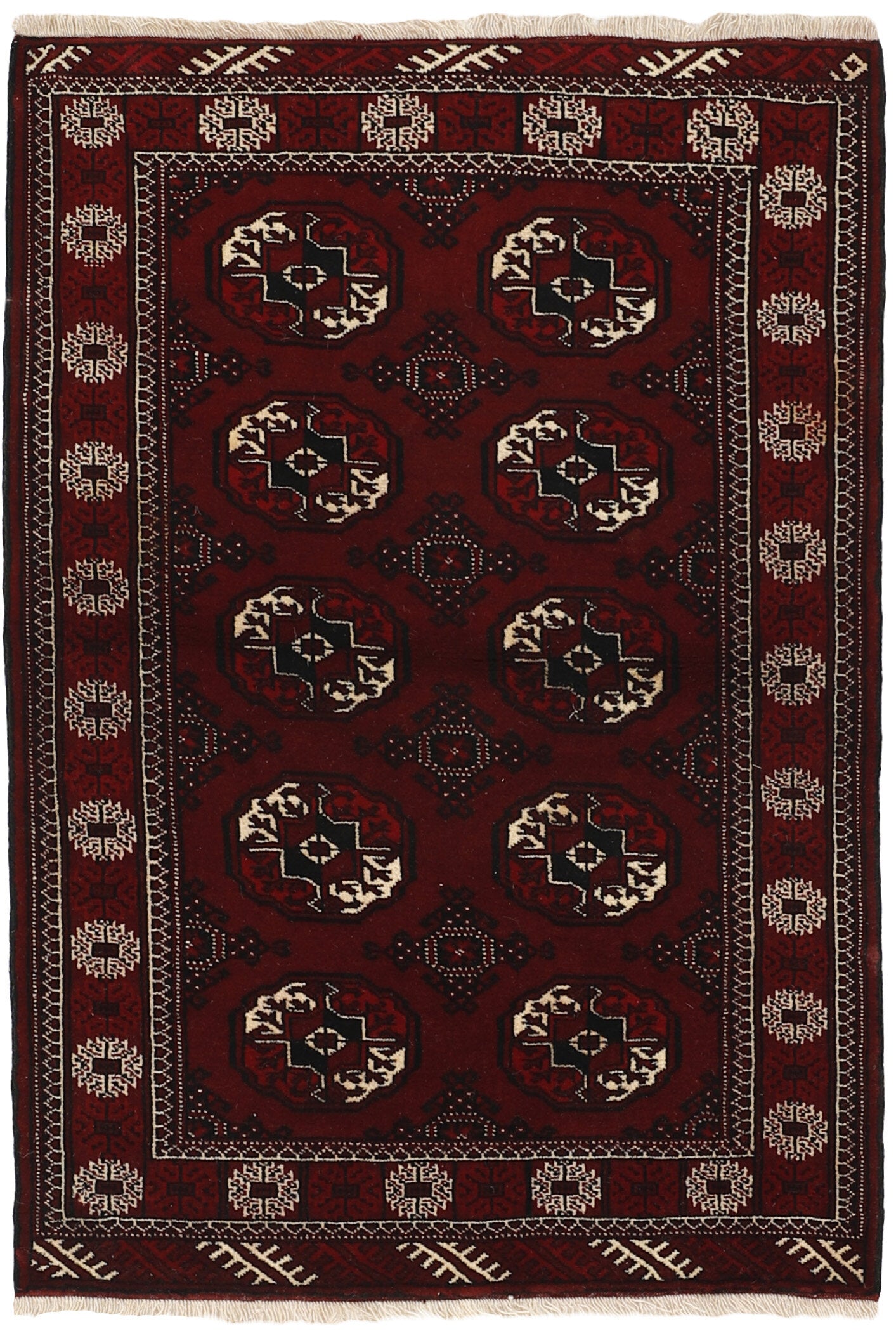 Torkaman 1484982