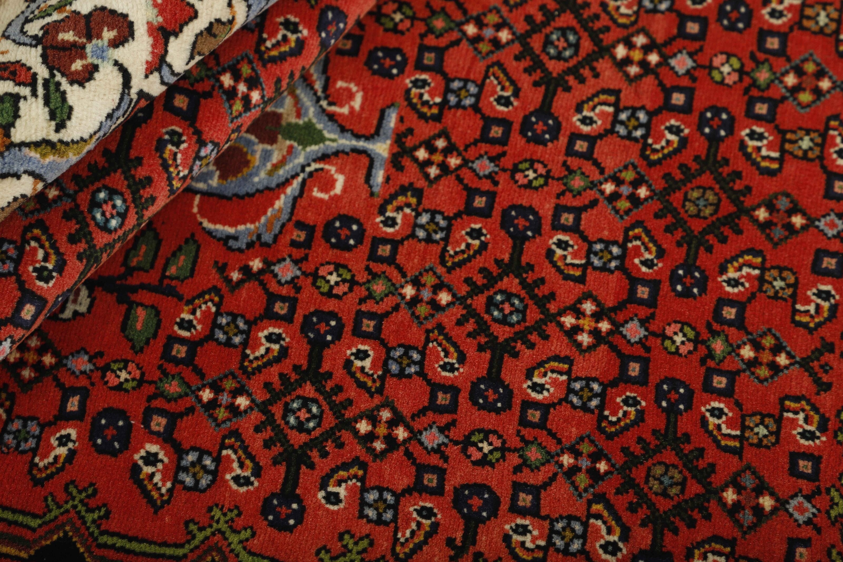 Asadabad 1484997
