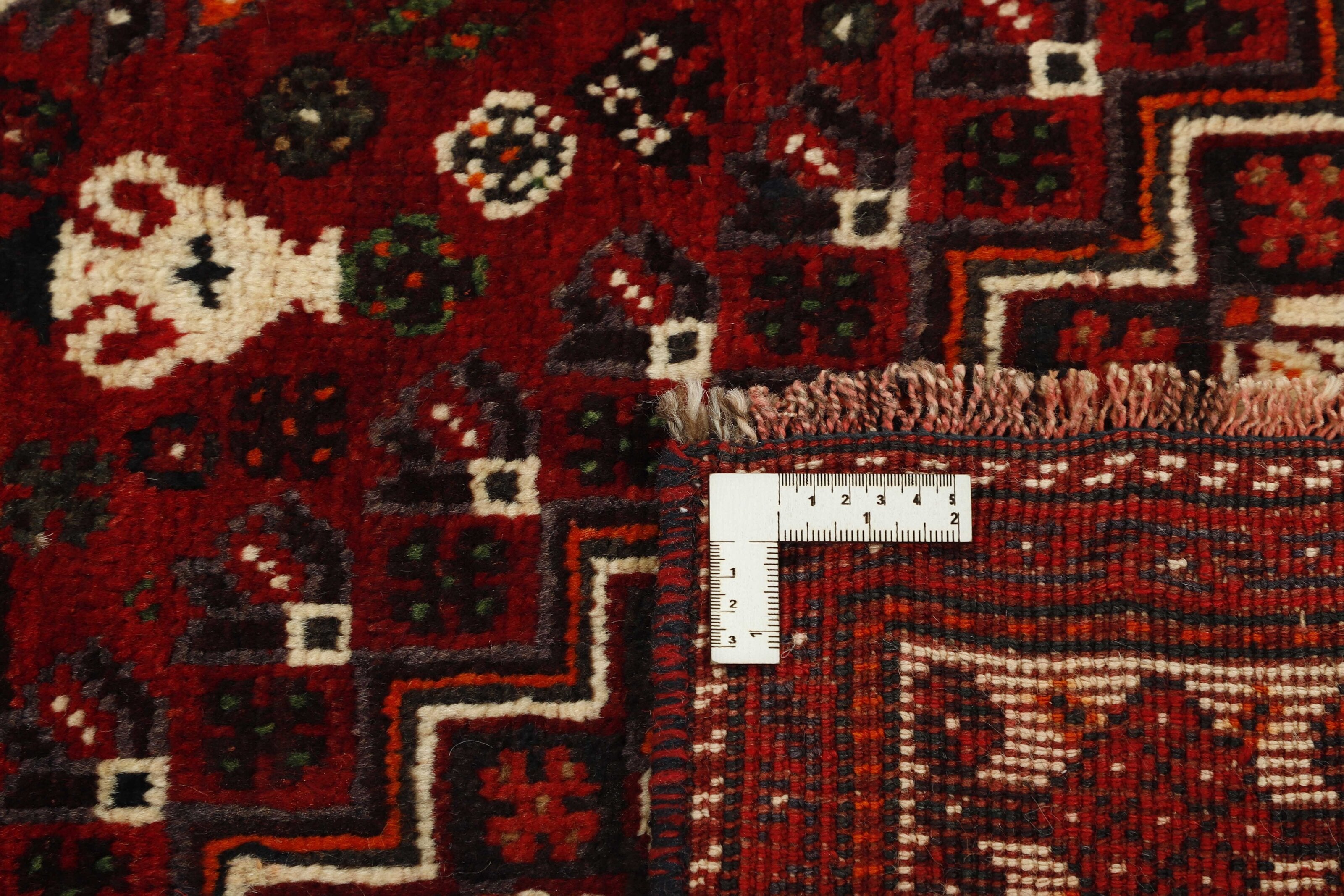 Shiraz 1485424