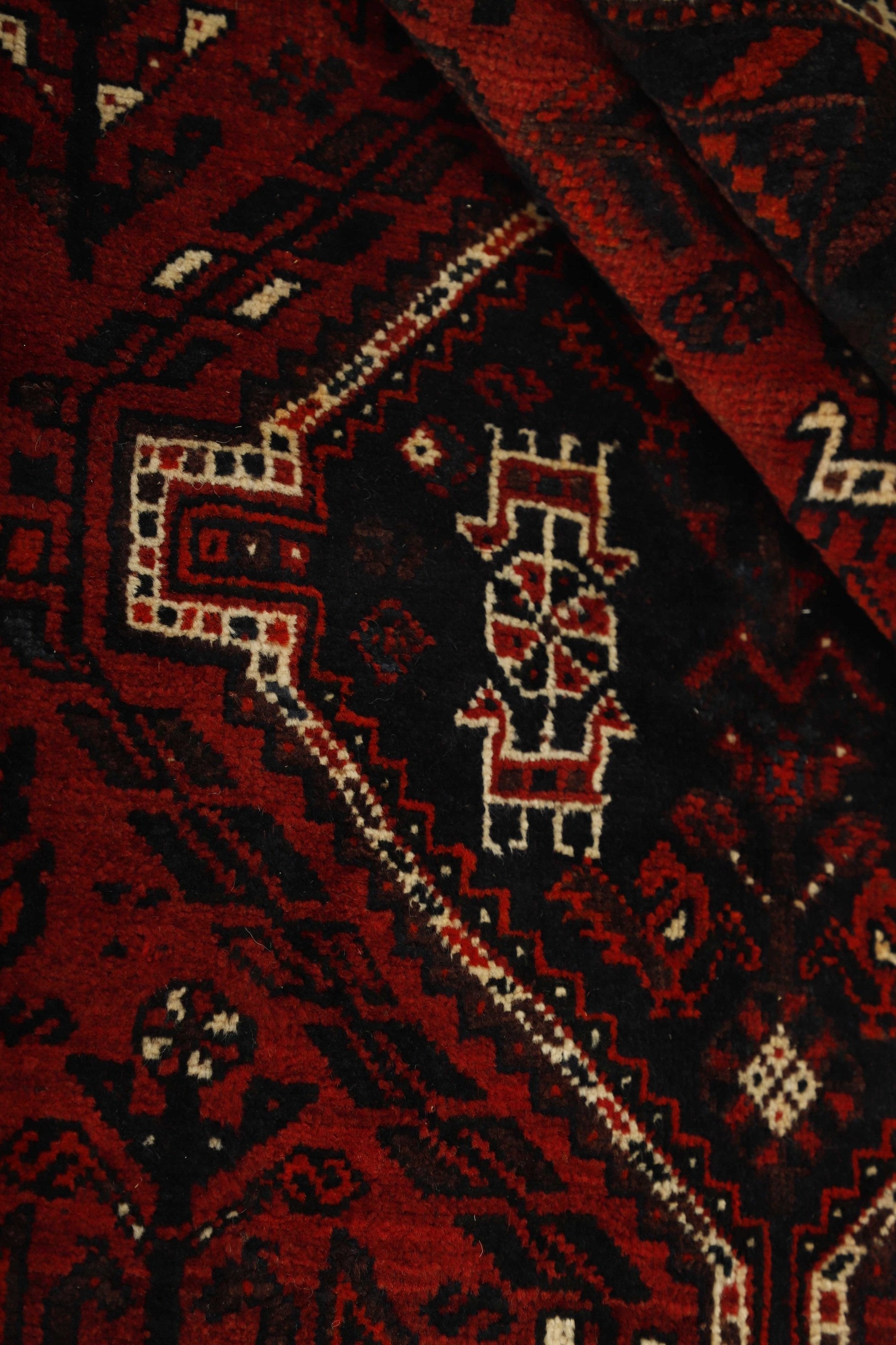 Shiraz 1485426