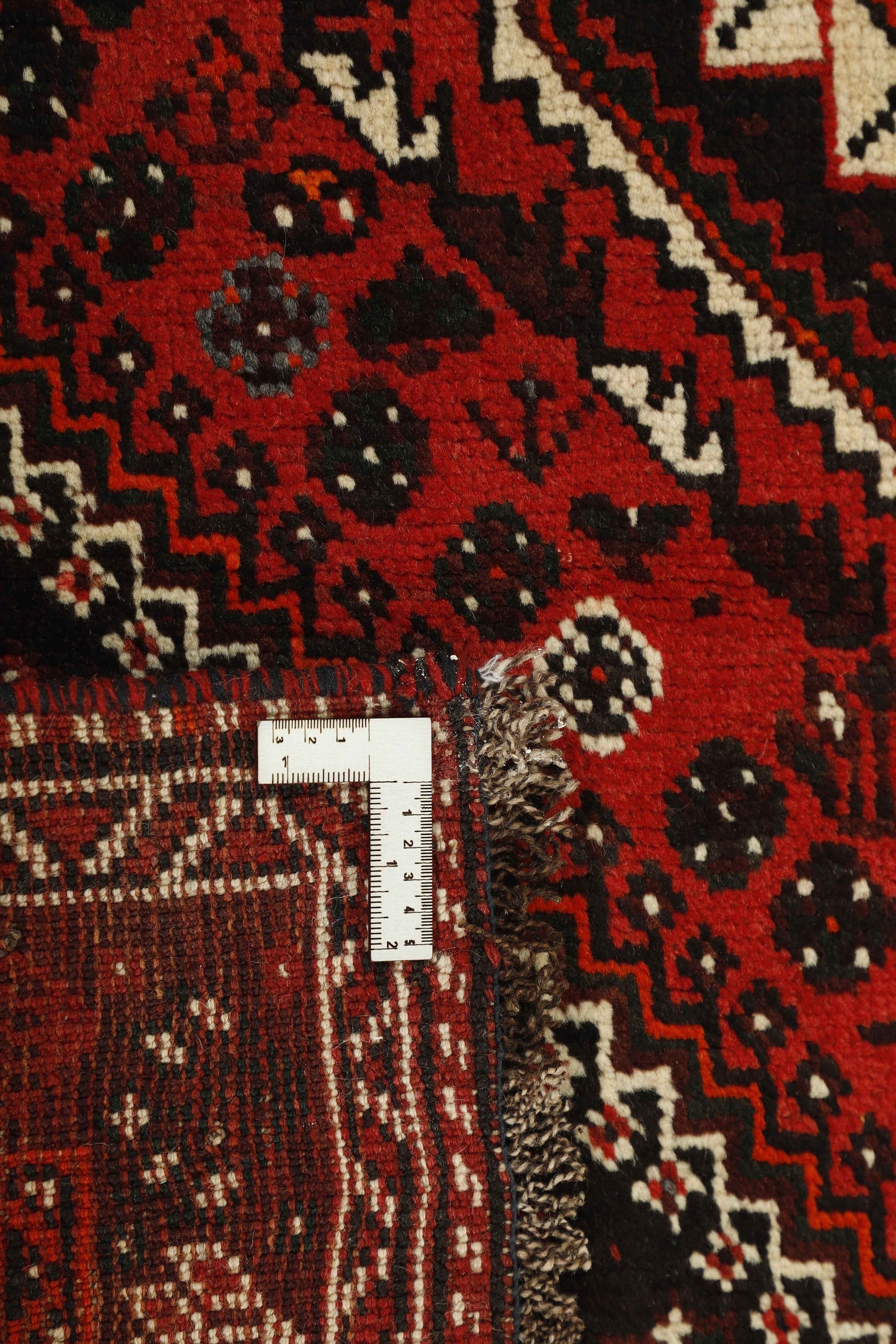 Shiraz 1485429