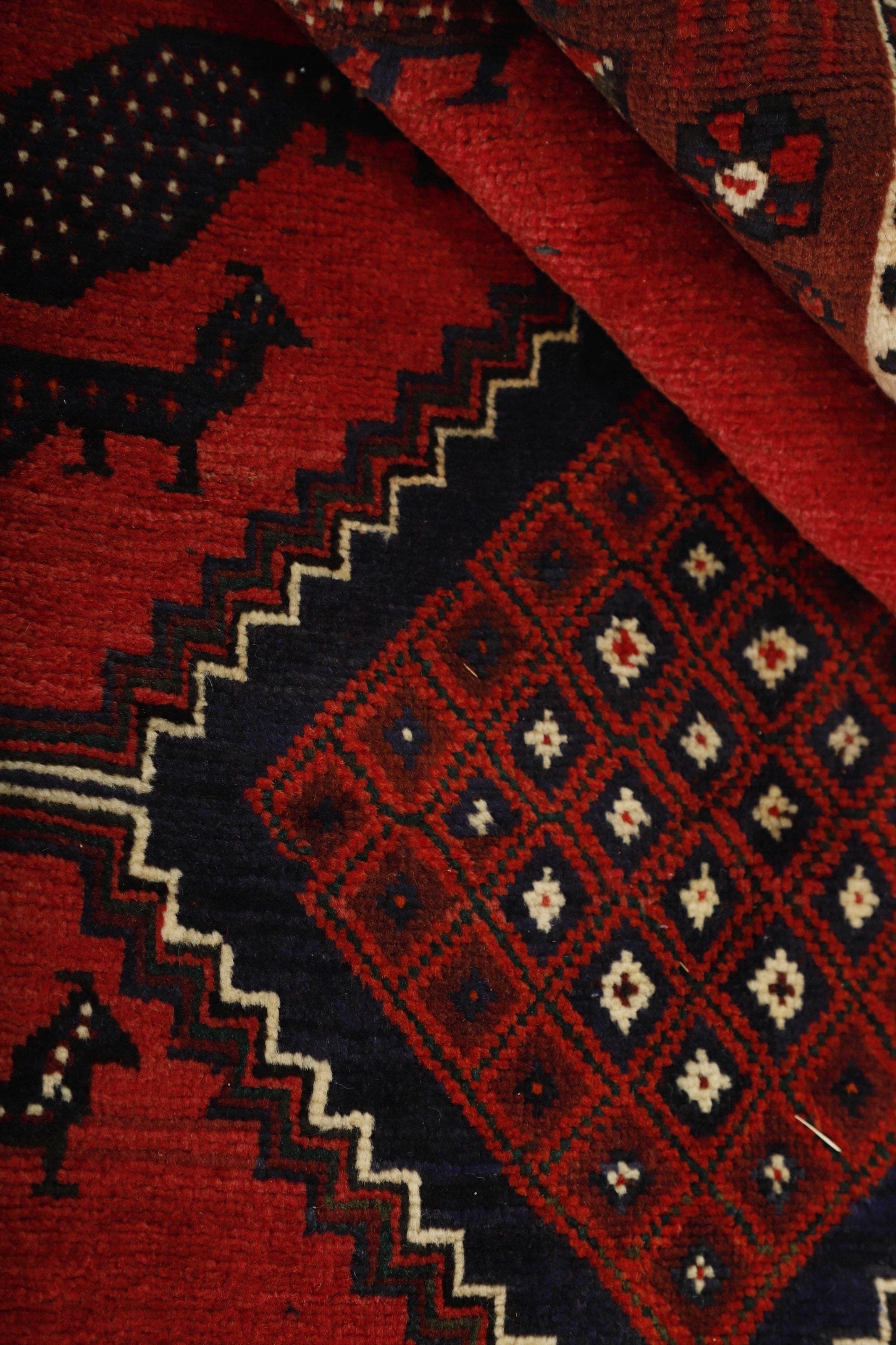 Shiraz 1485431