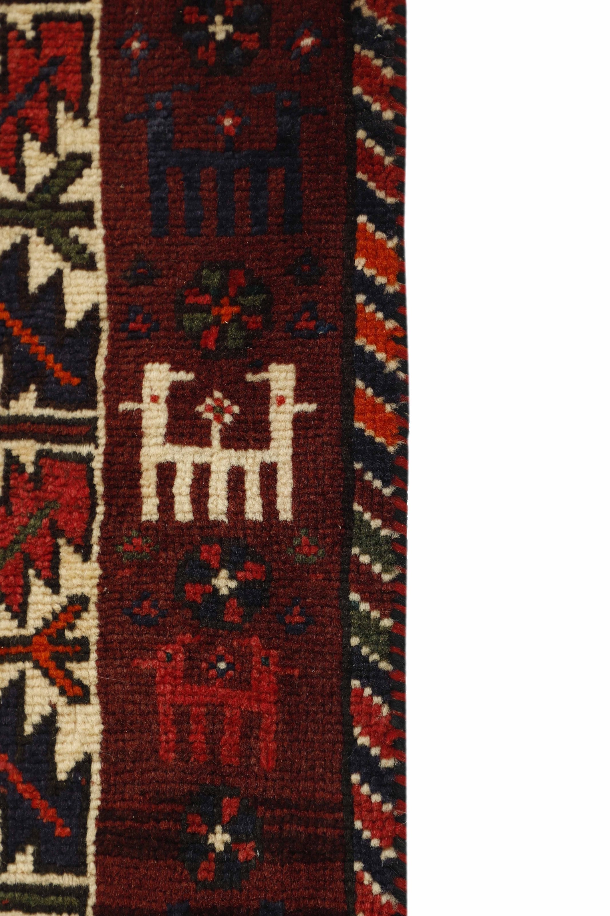 Shiraz 1485431