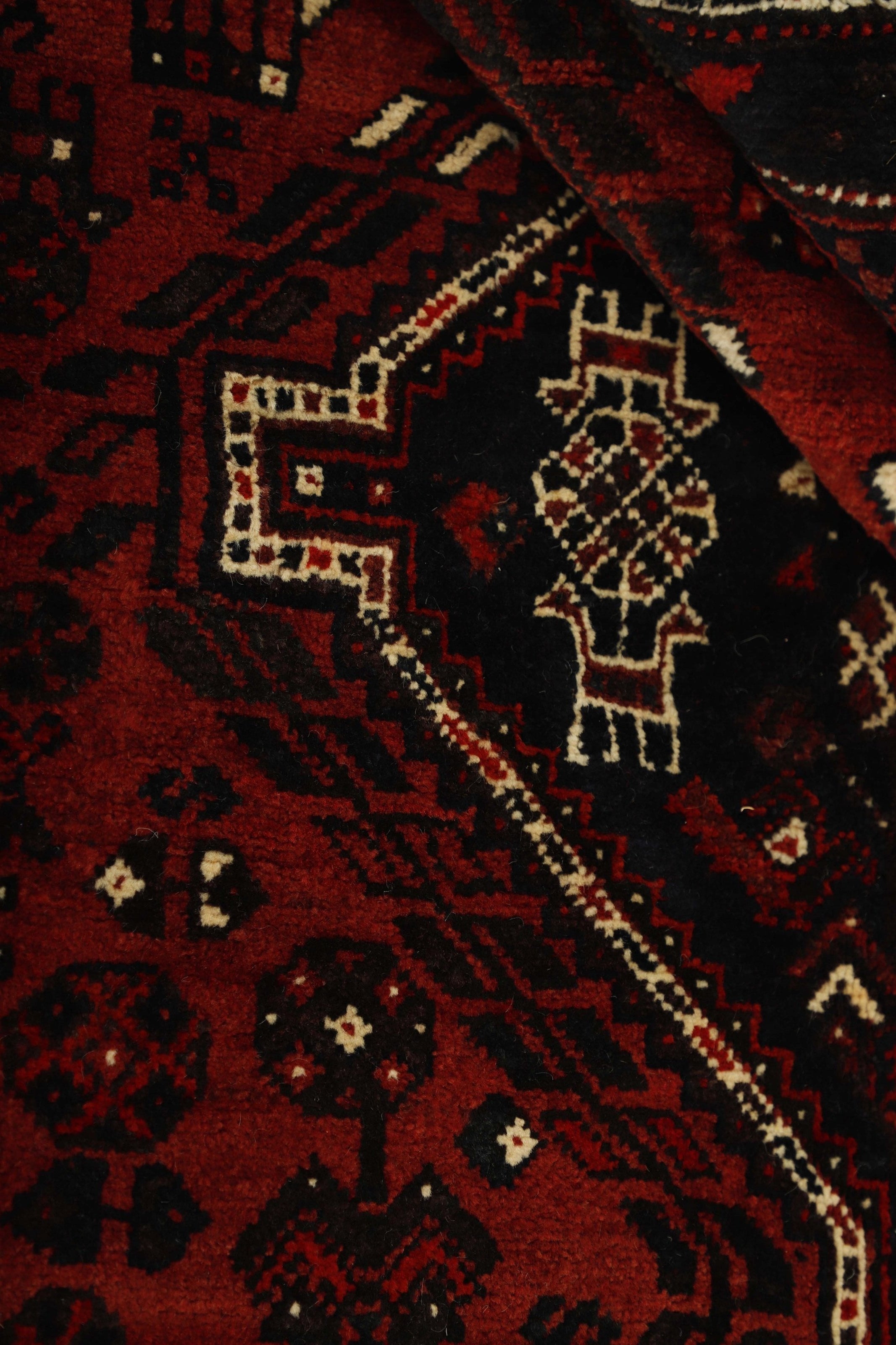 Shiraz 1485439