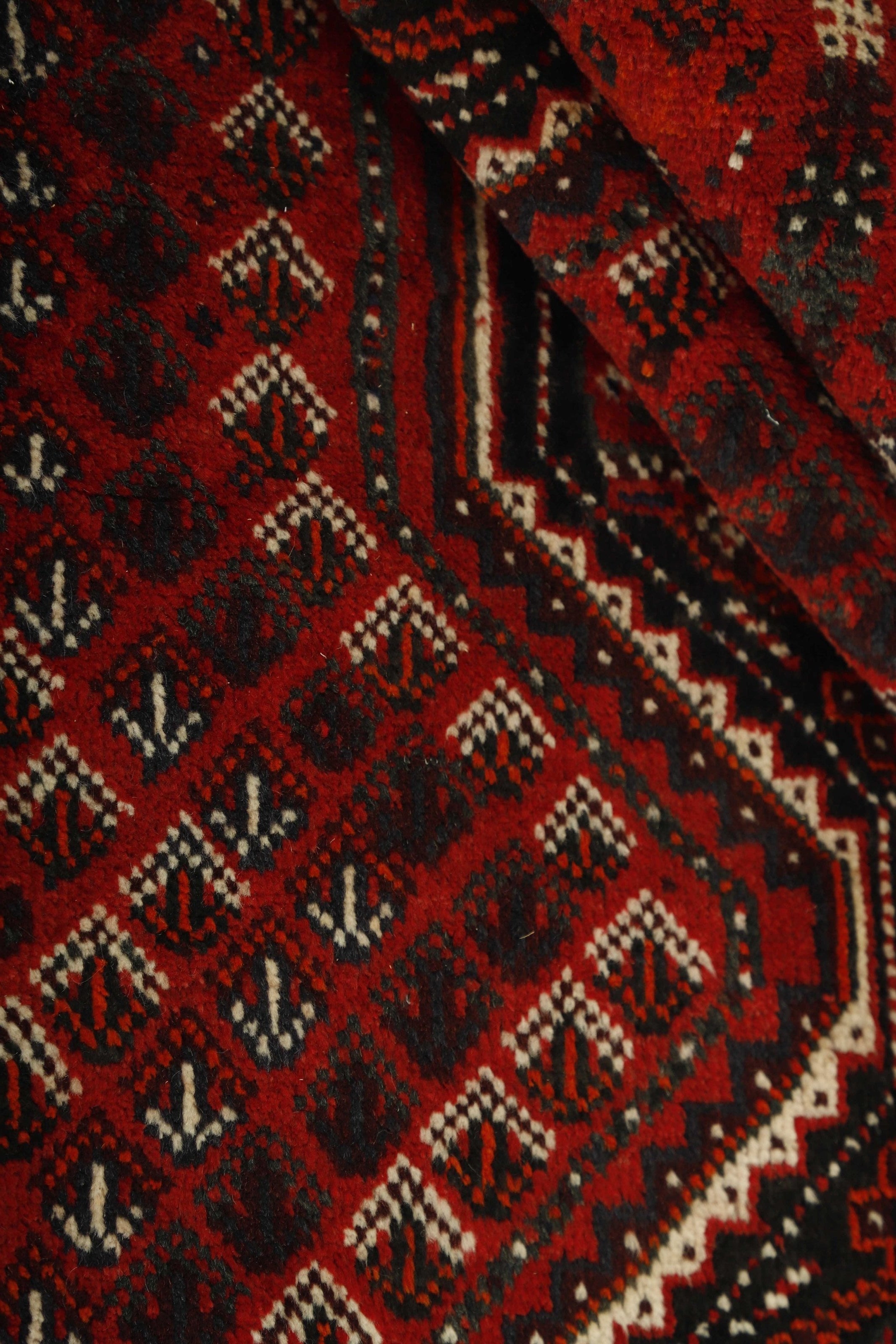 Shiraz 1485454