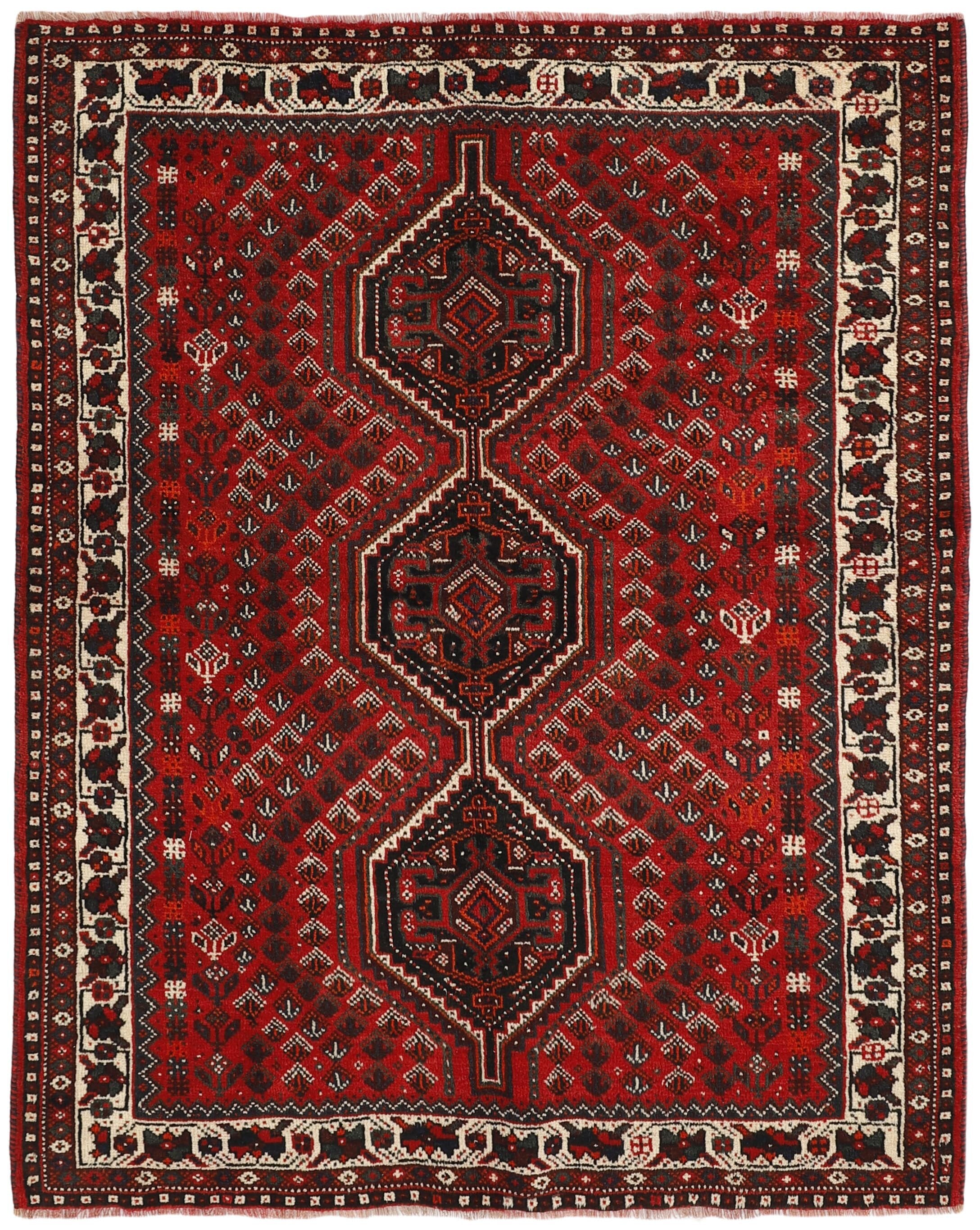 Shiraz 1485454