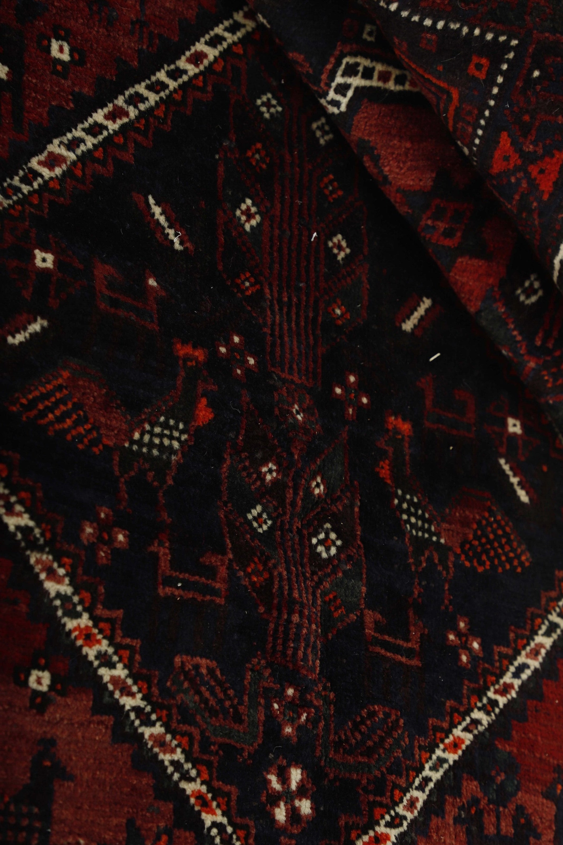 Shiraz 1485458