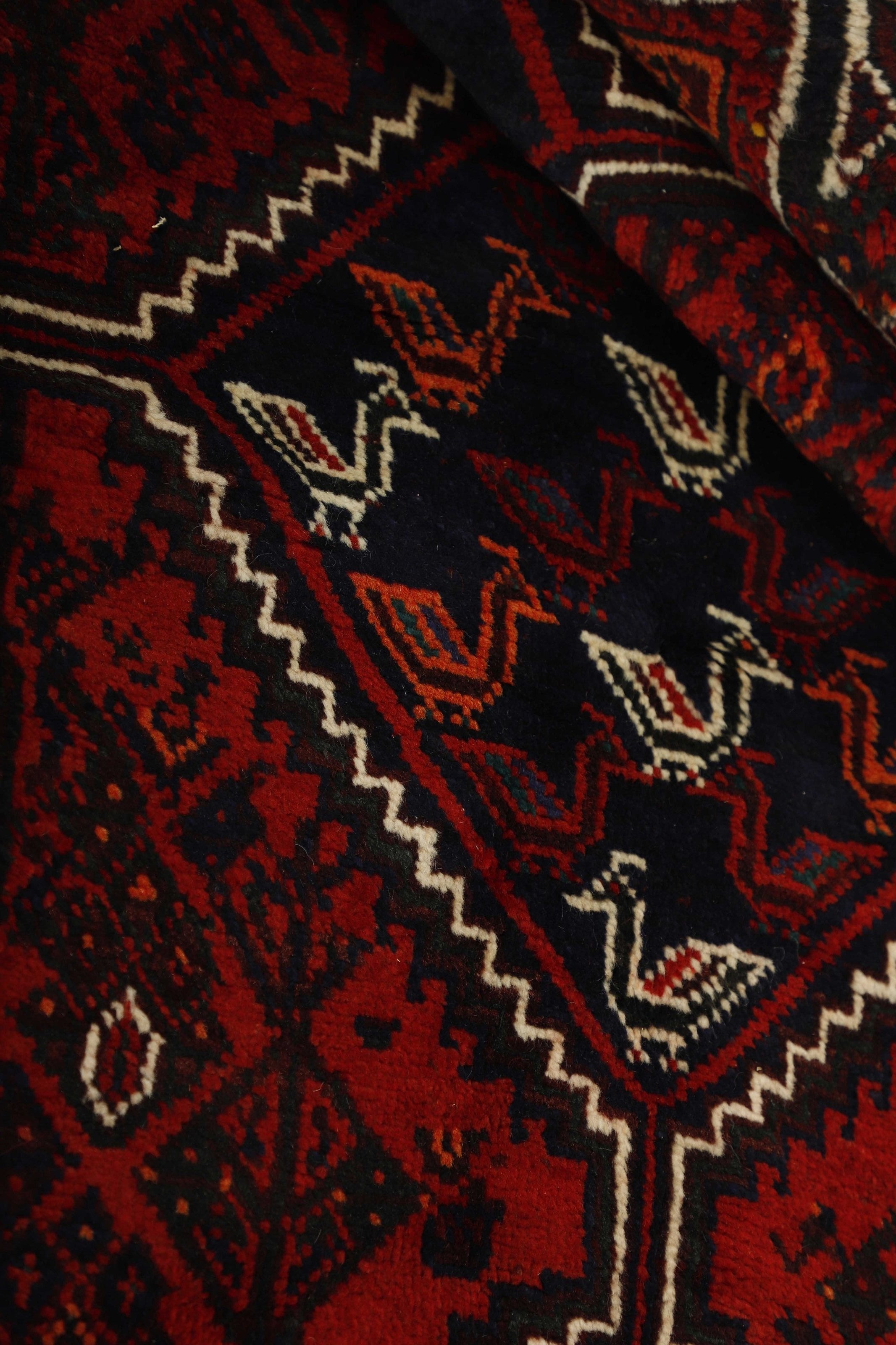 Shiraz 1485462