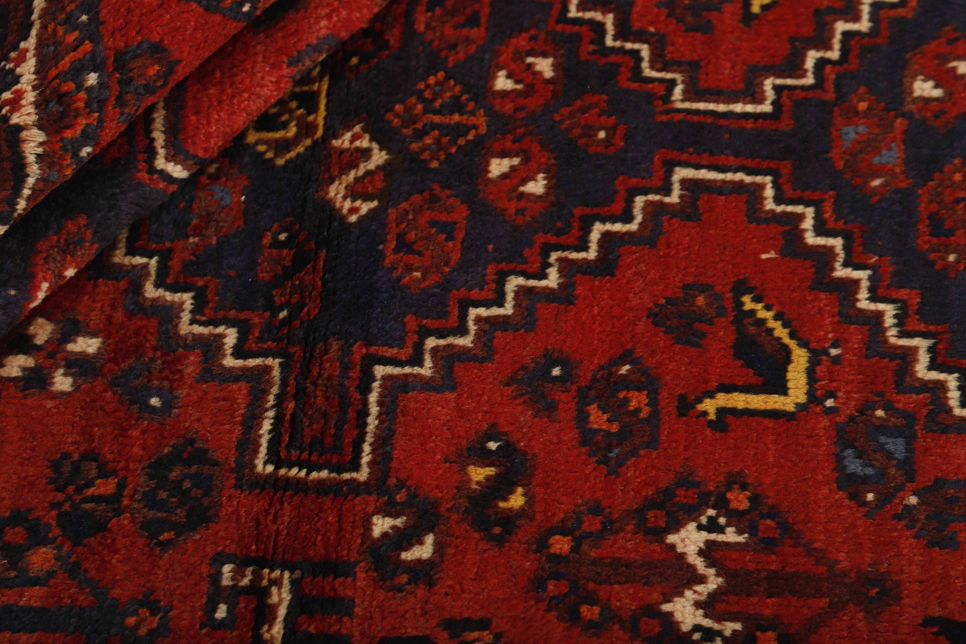 Shiraz 1485665