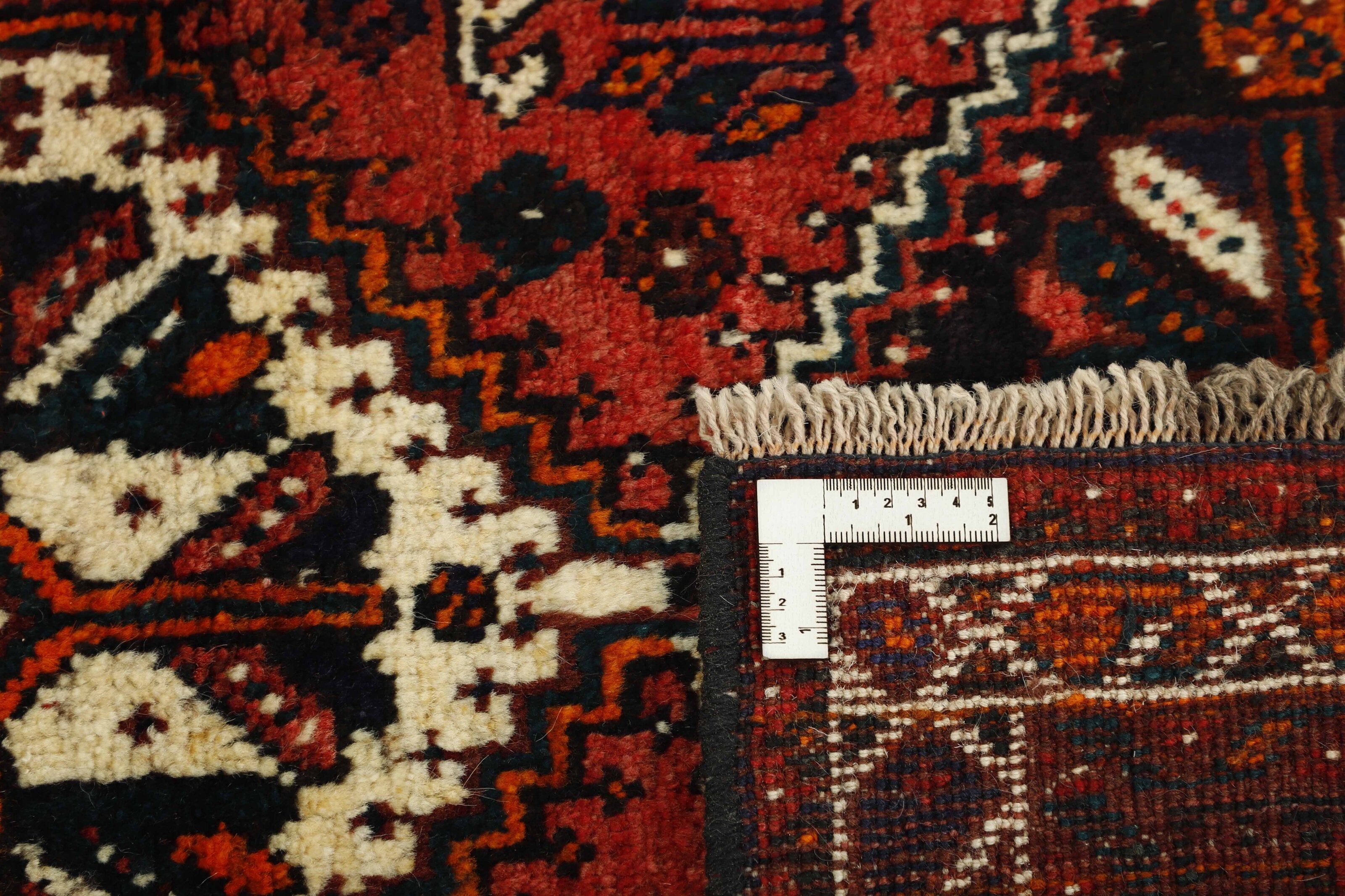 Shiraz 1485688