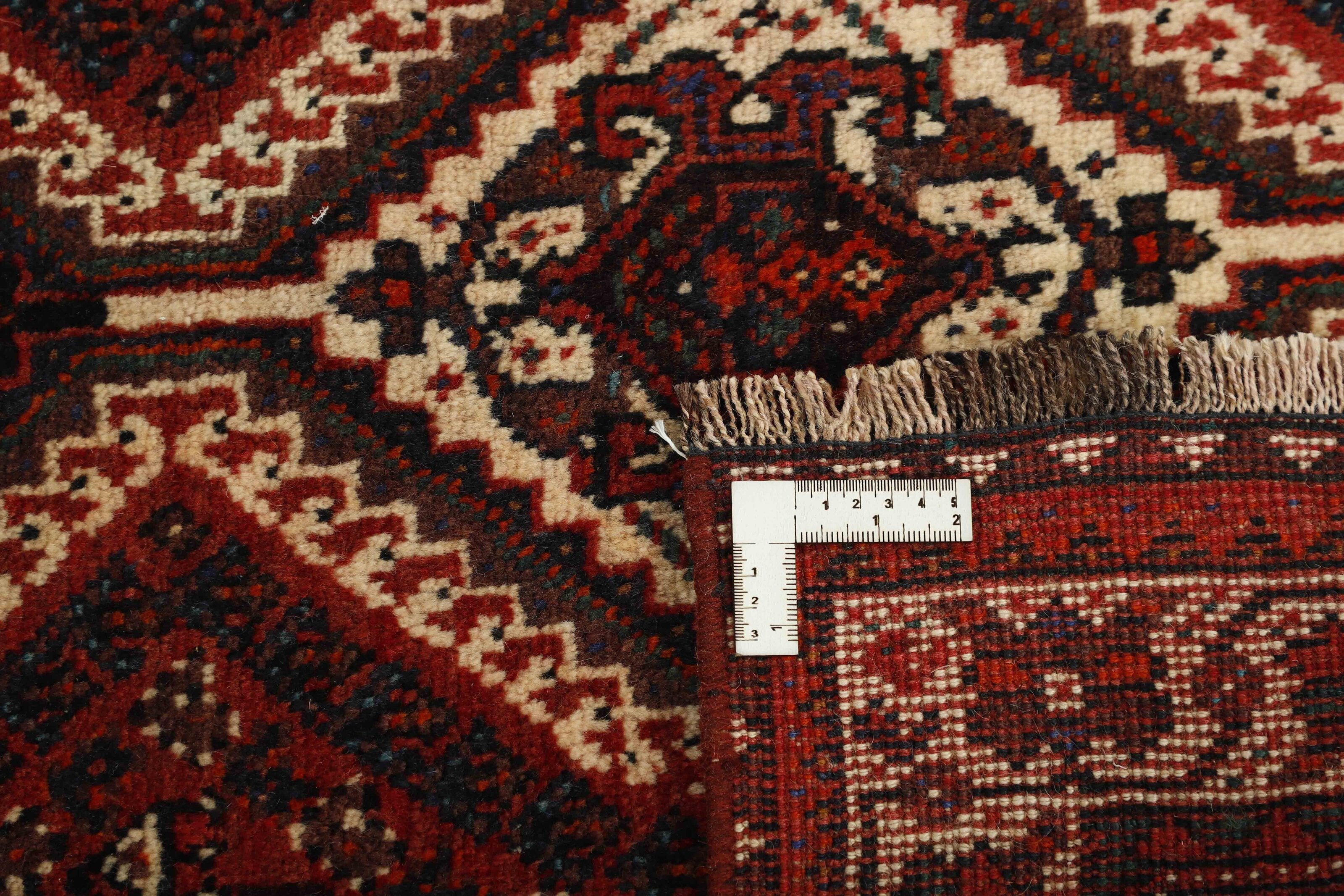 Shiraz 1485689