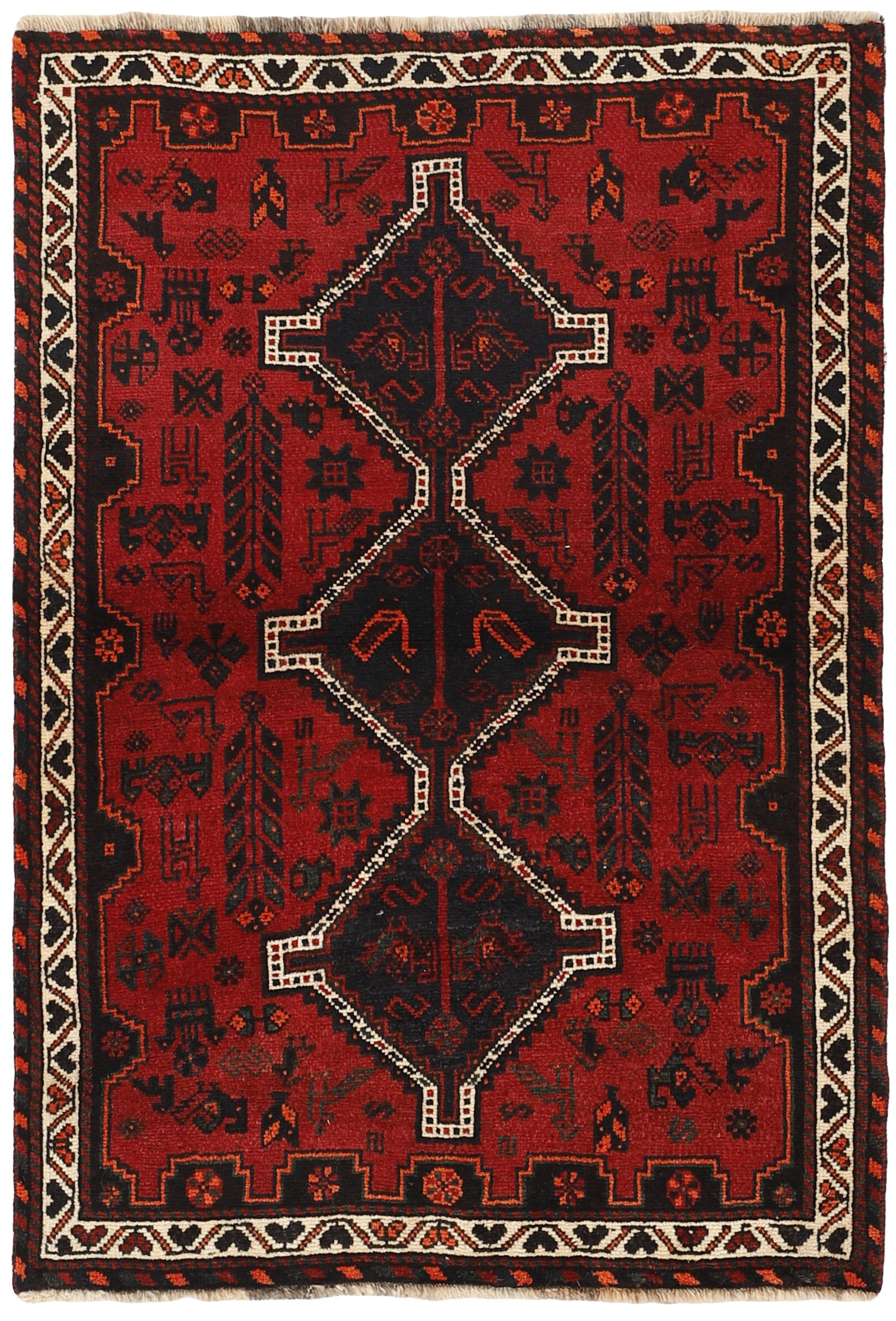 Shiraz 1485722
