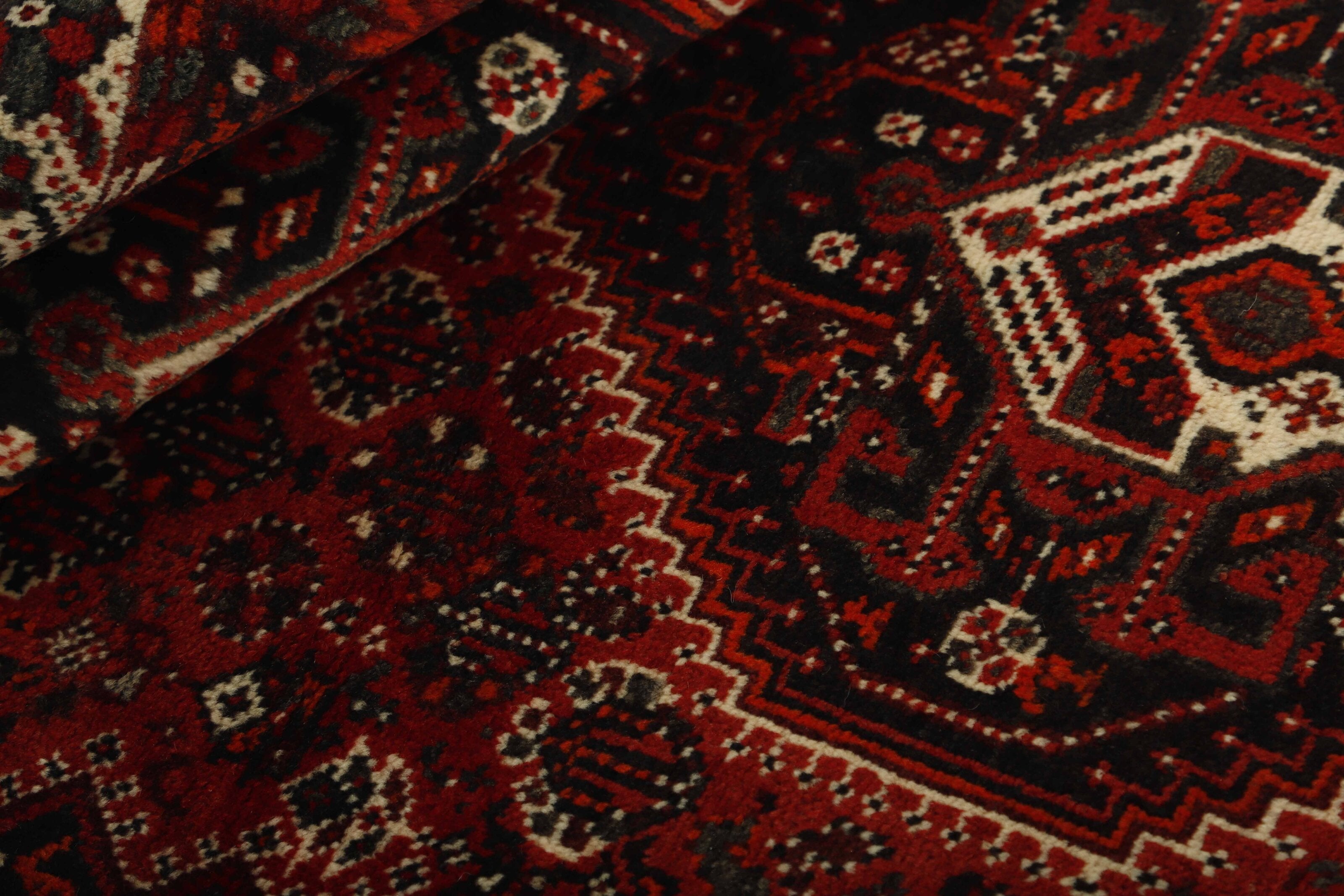 Shiraz 1485735