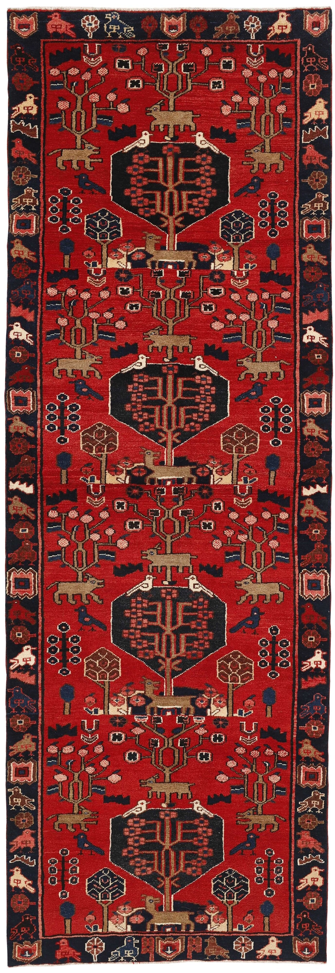 Kamseh Runner 1487663