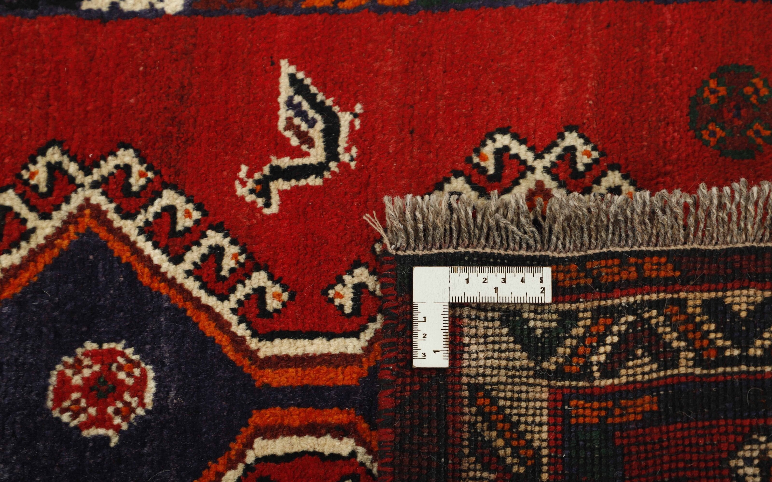 Shiraz Runner 1489793