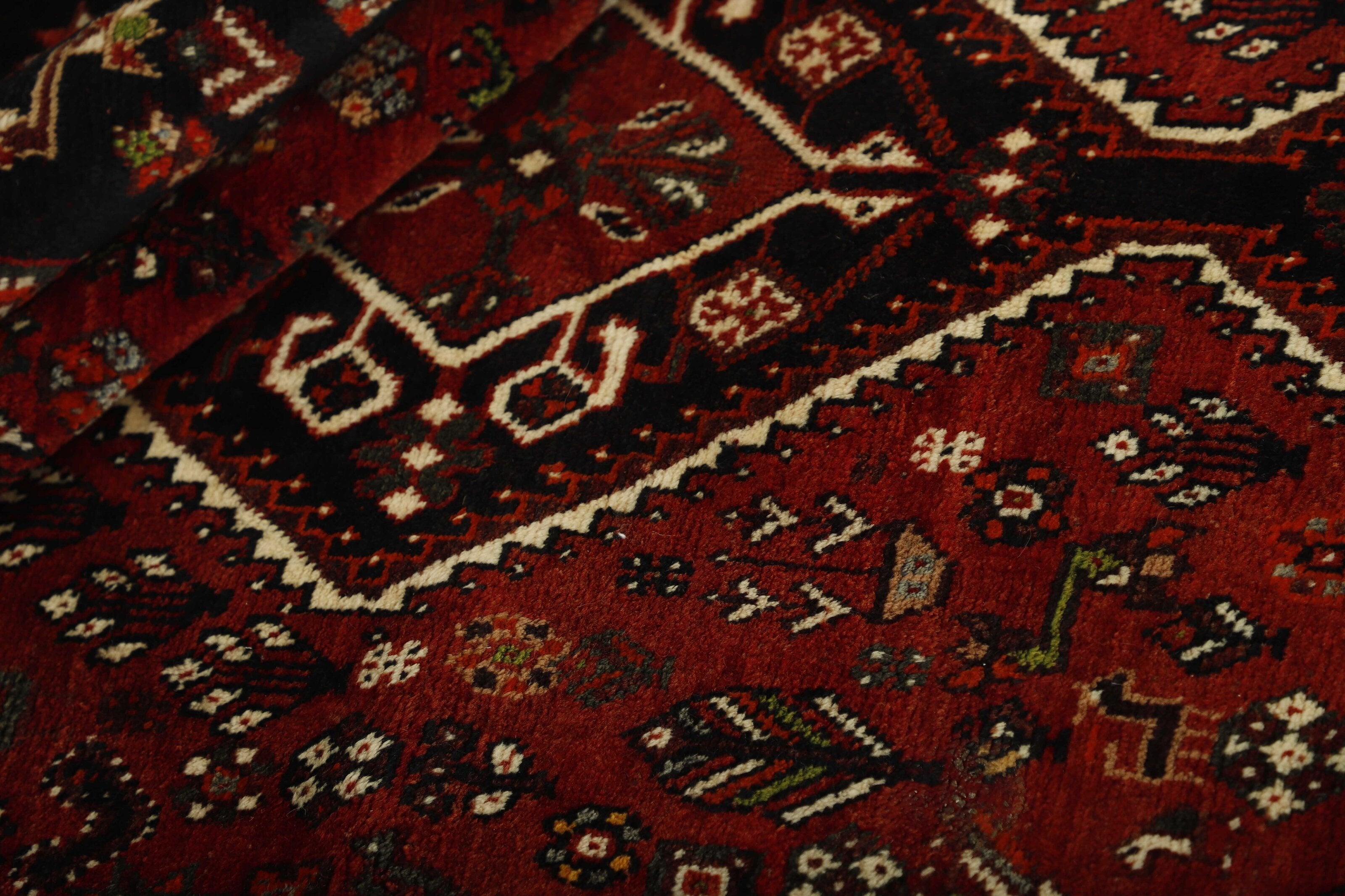 Shiraz 1489803