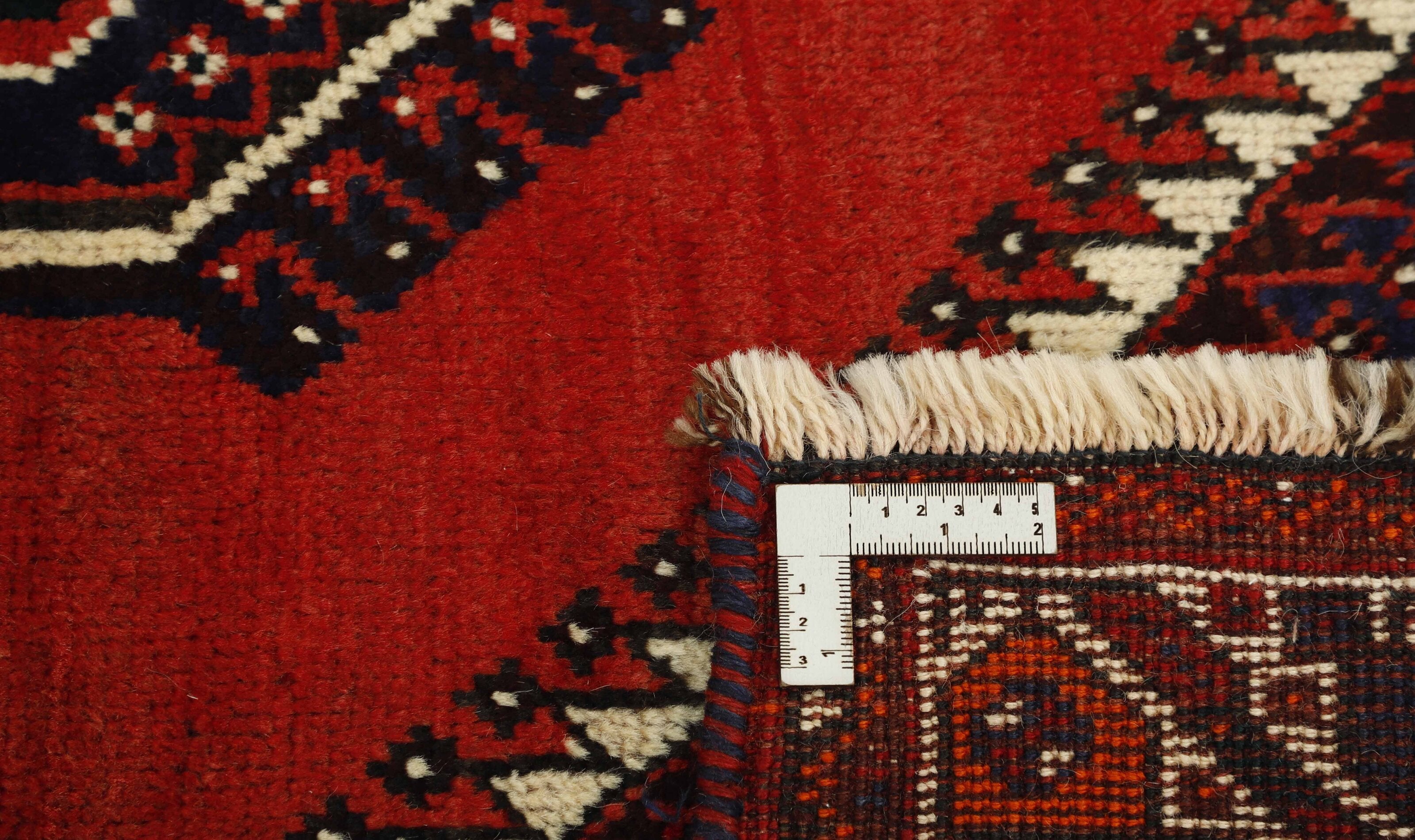 Shiraz 1489812
