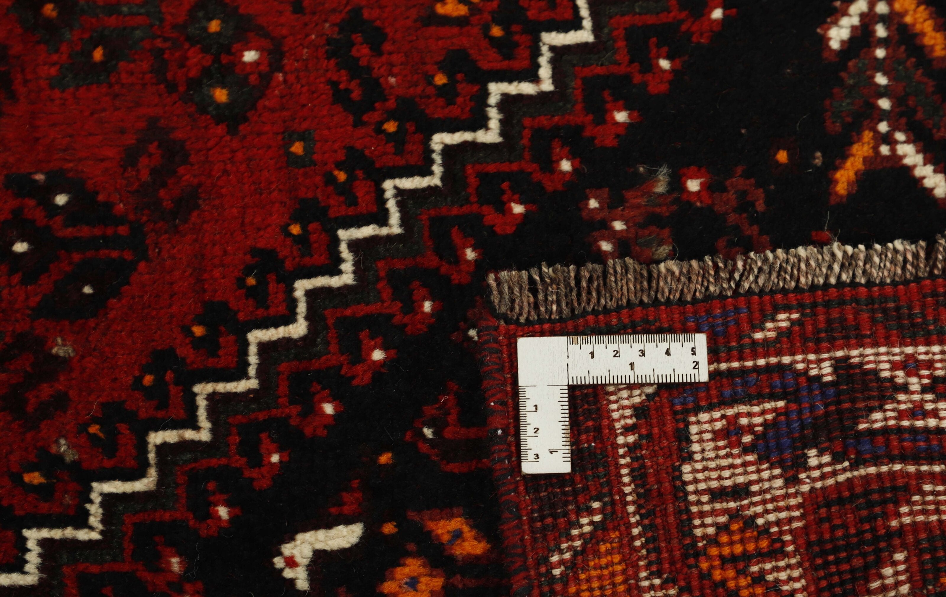 Shiraz 1489819