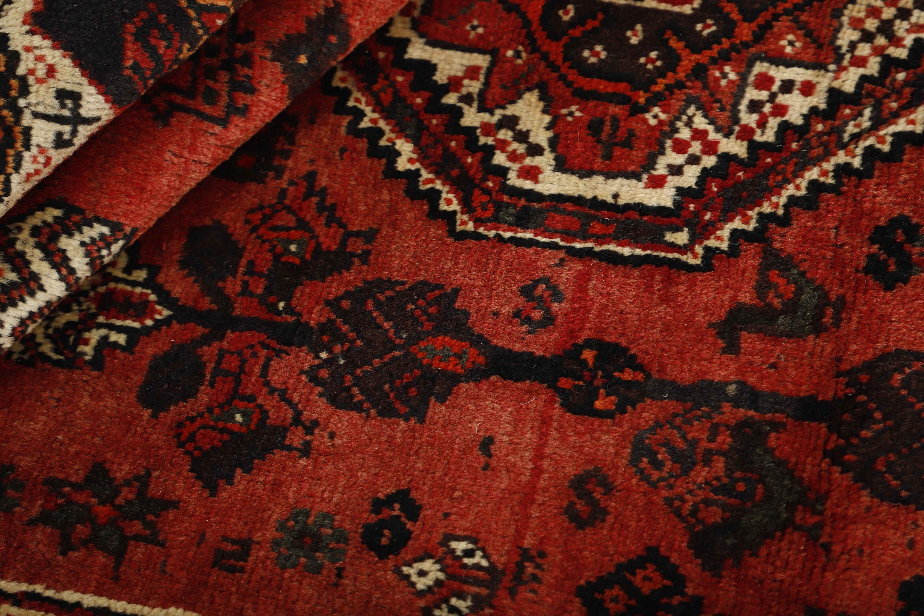 Shiraz Runner 1489822