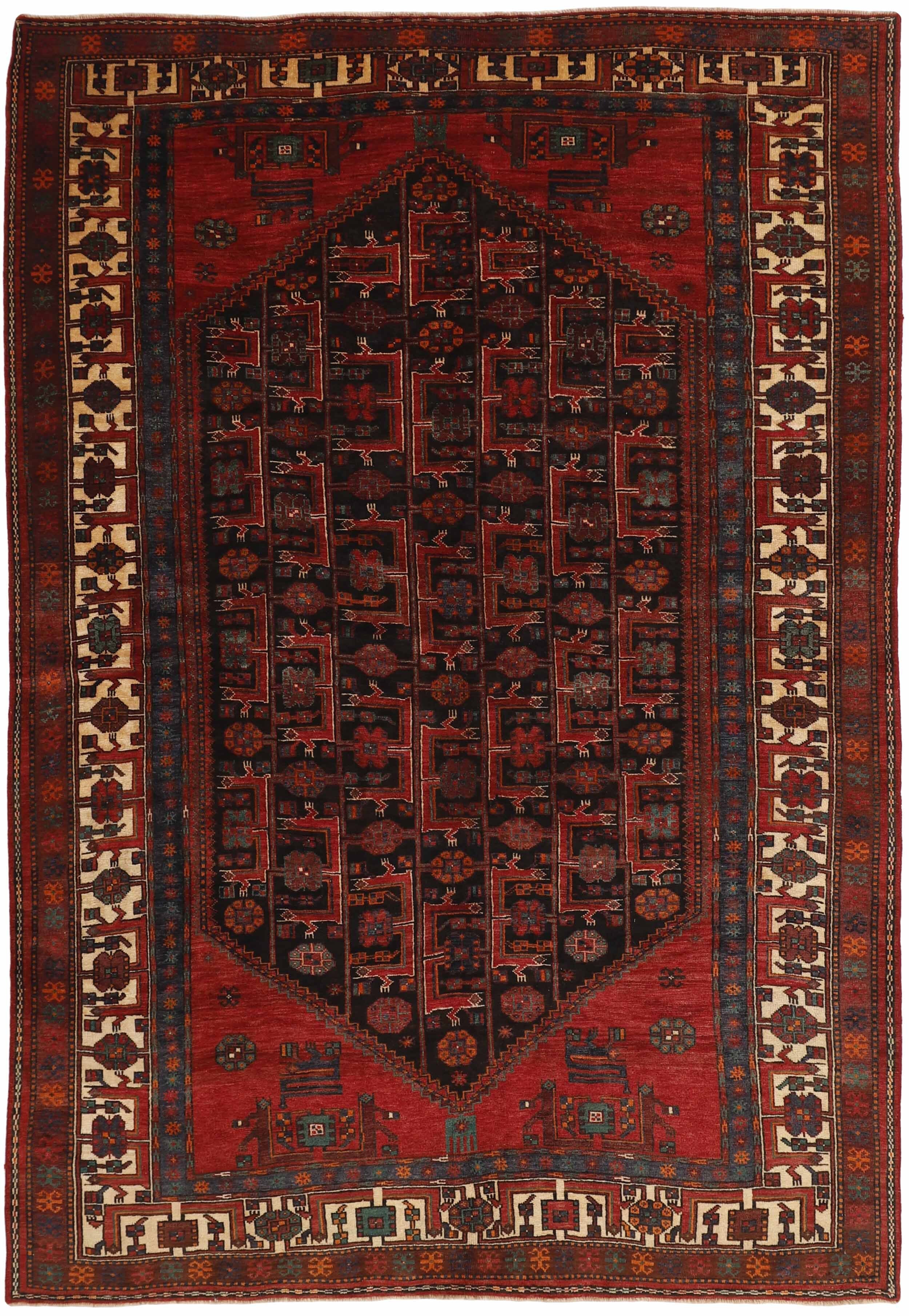 Shiraz 1491184
