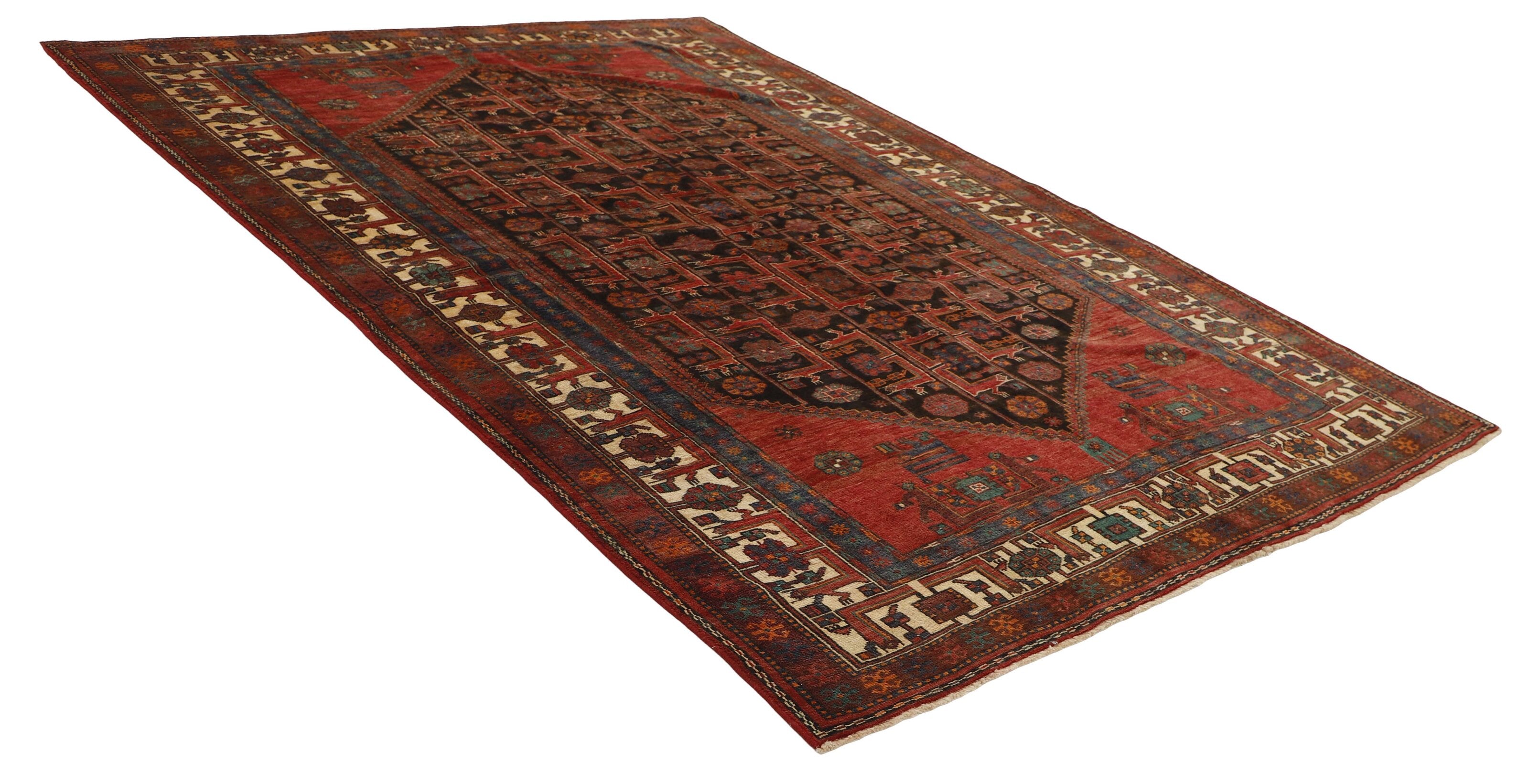 Shiraz 1491184