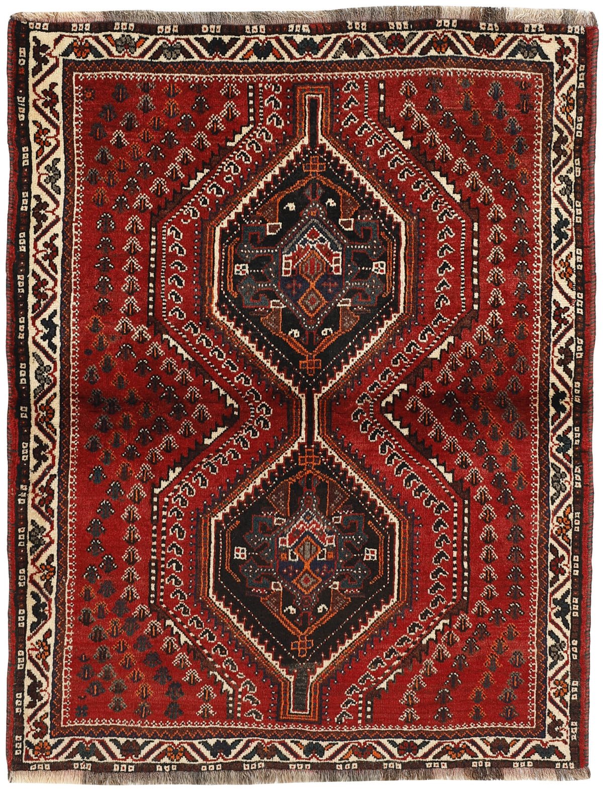 Shiraz 1491213