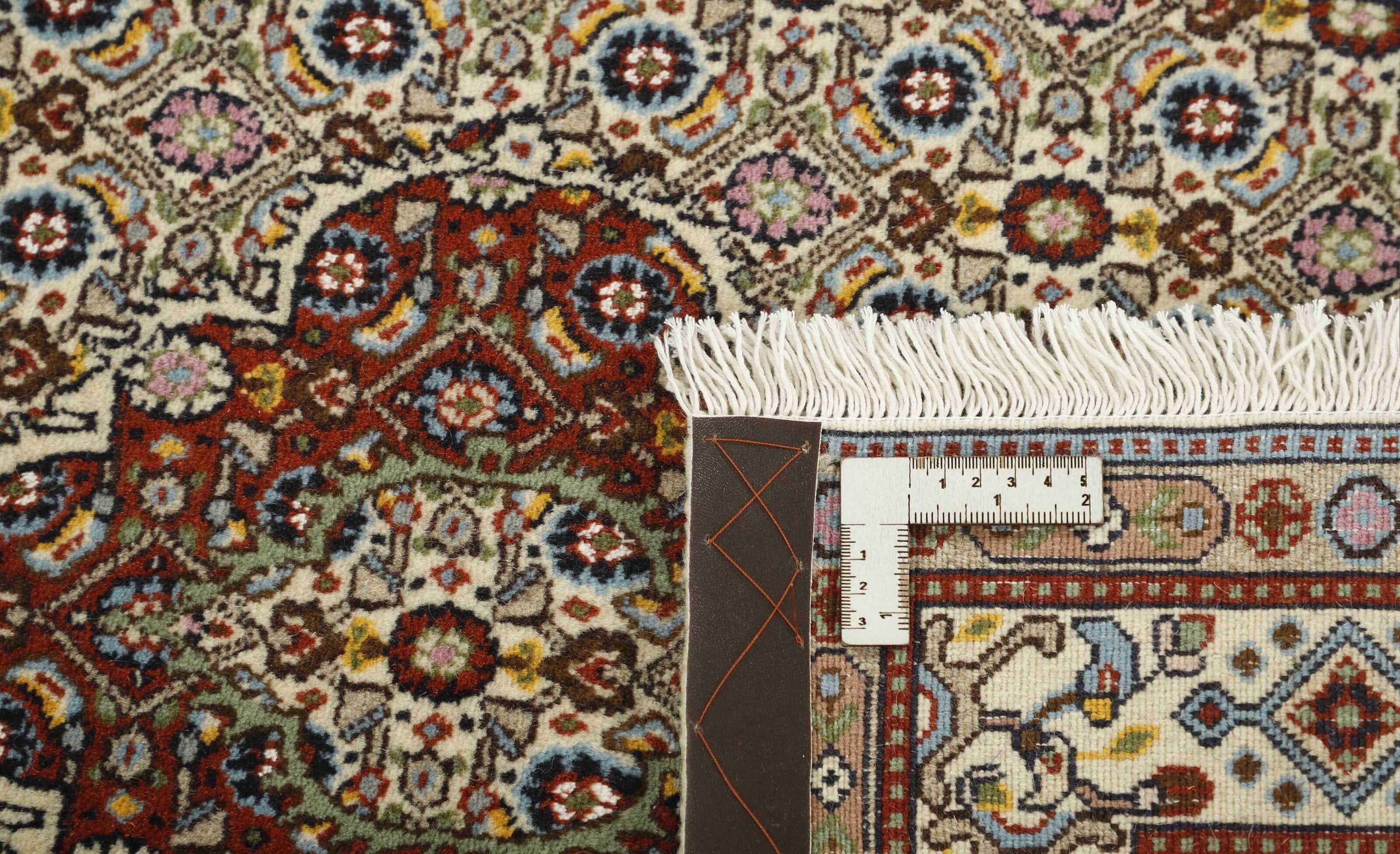Moud Mahi 1491799