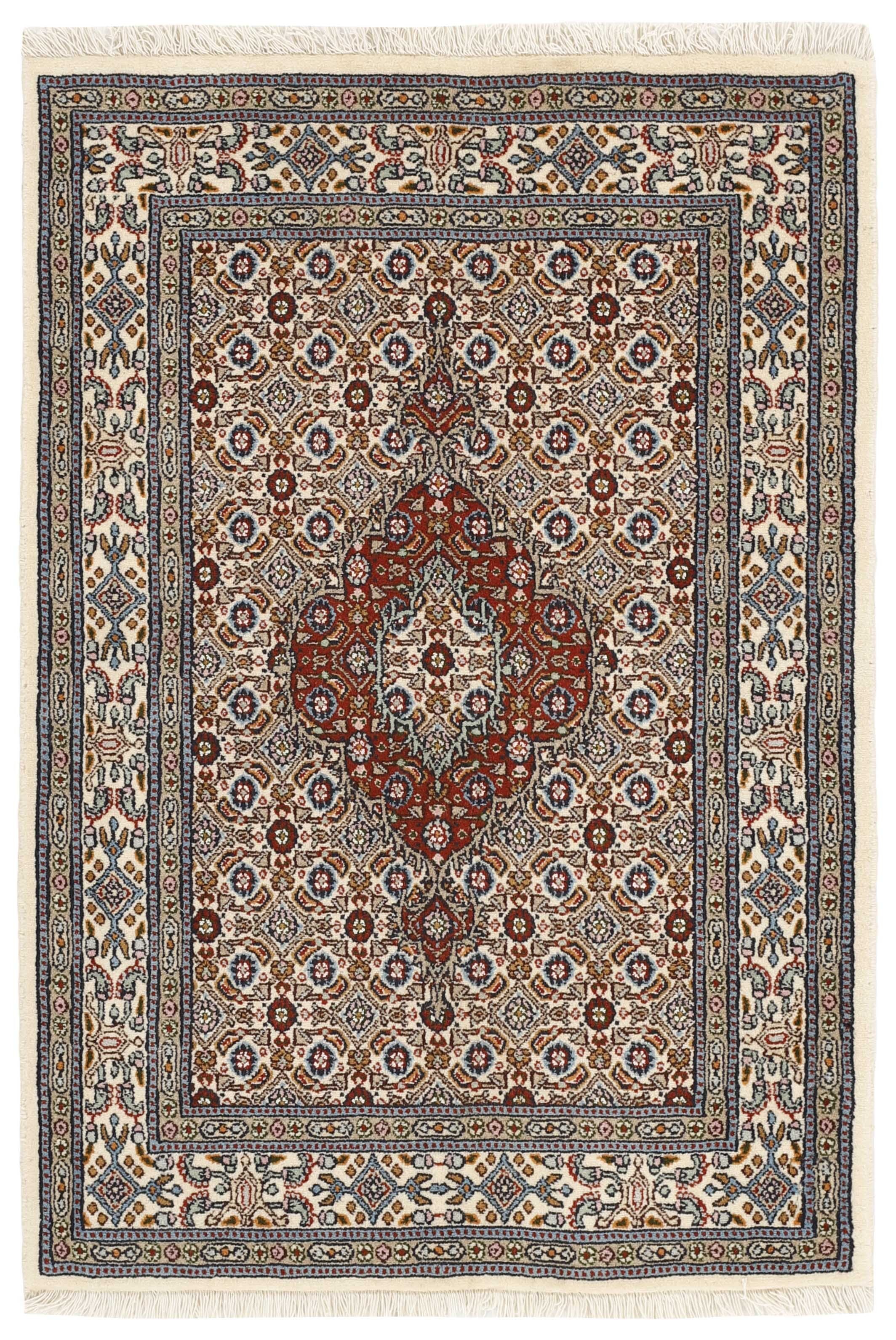 Moud Mahi 1491865