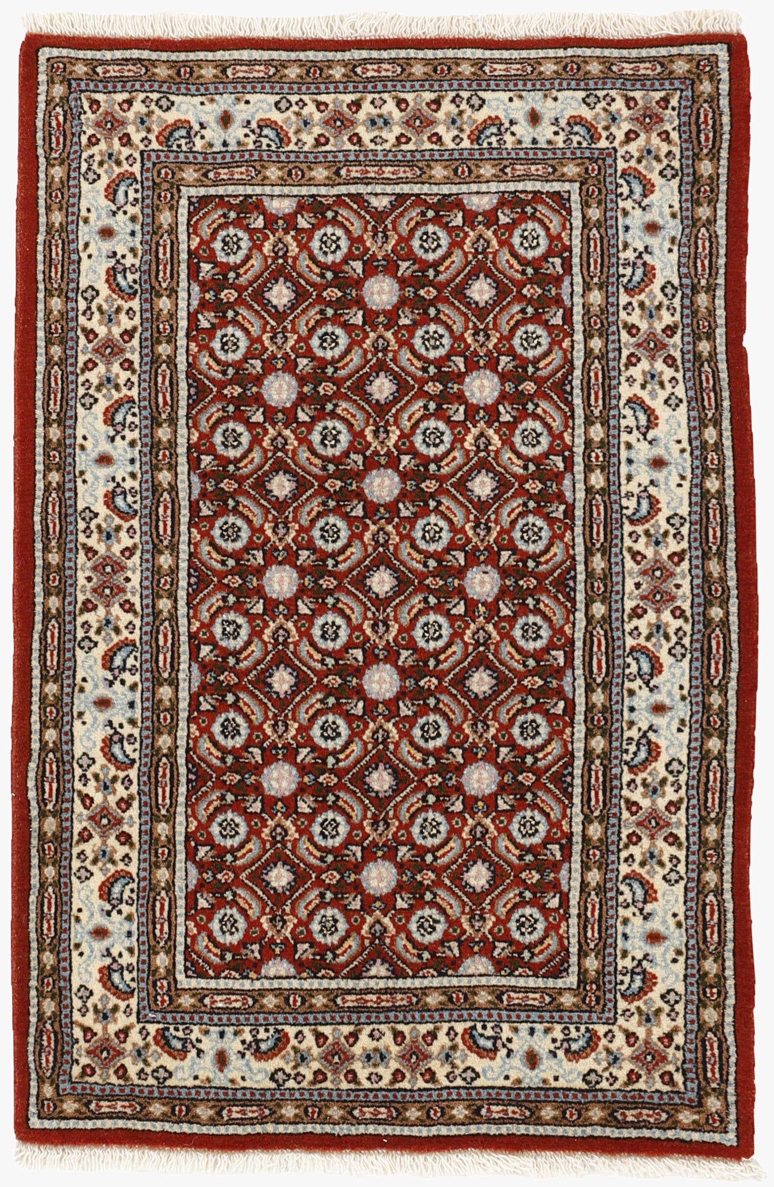 Moud Mahi 1492202
