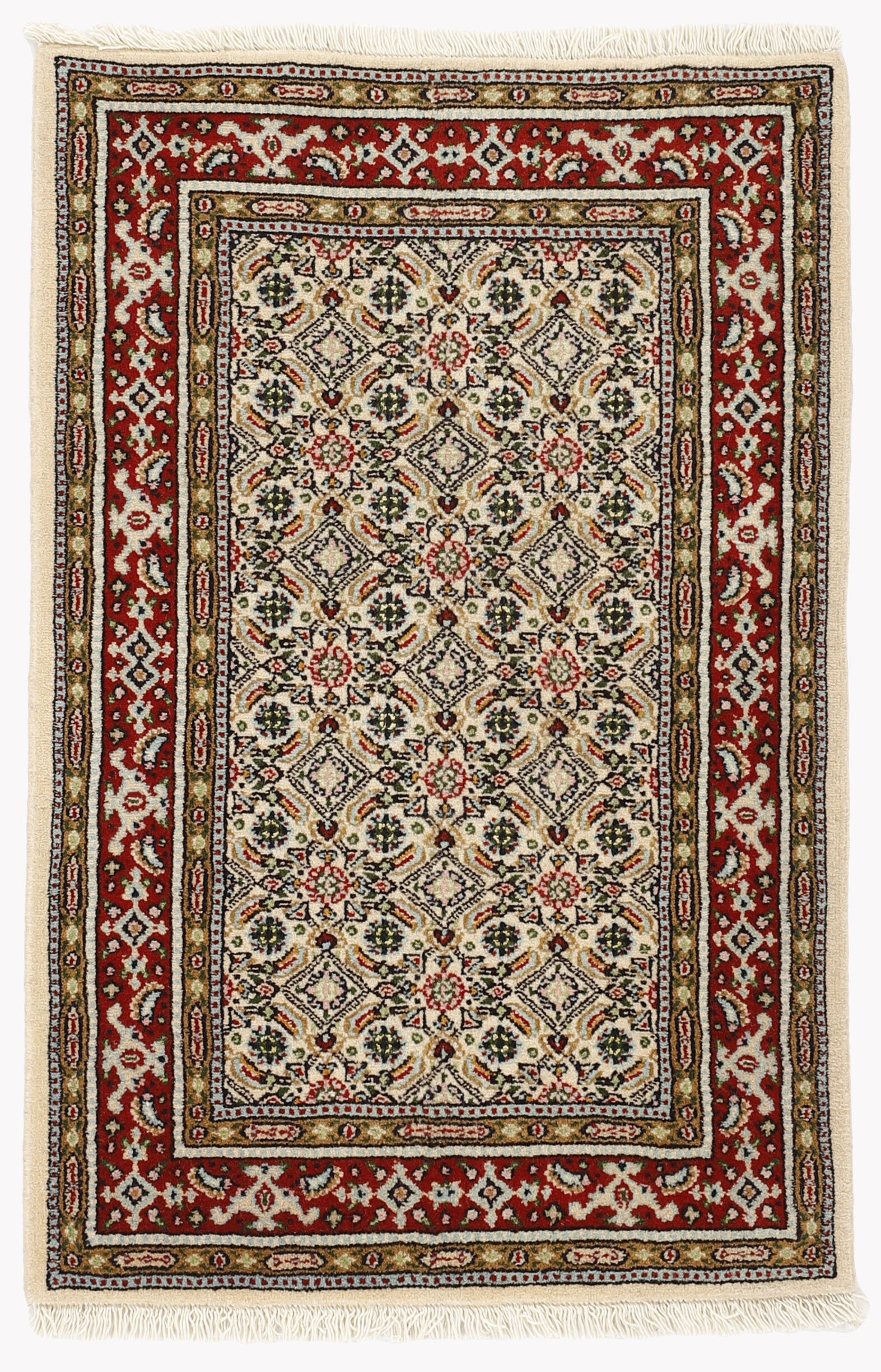 Moud Mahi 1492214