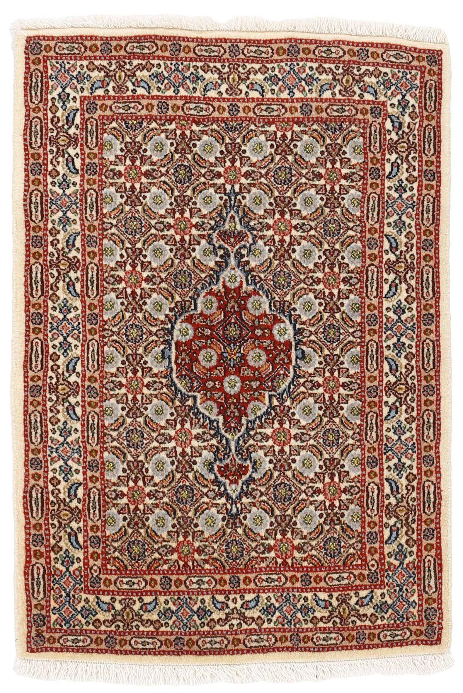 Moud Mahi 1492253