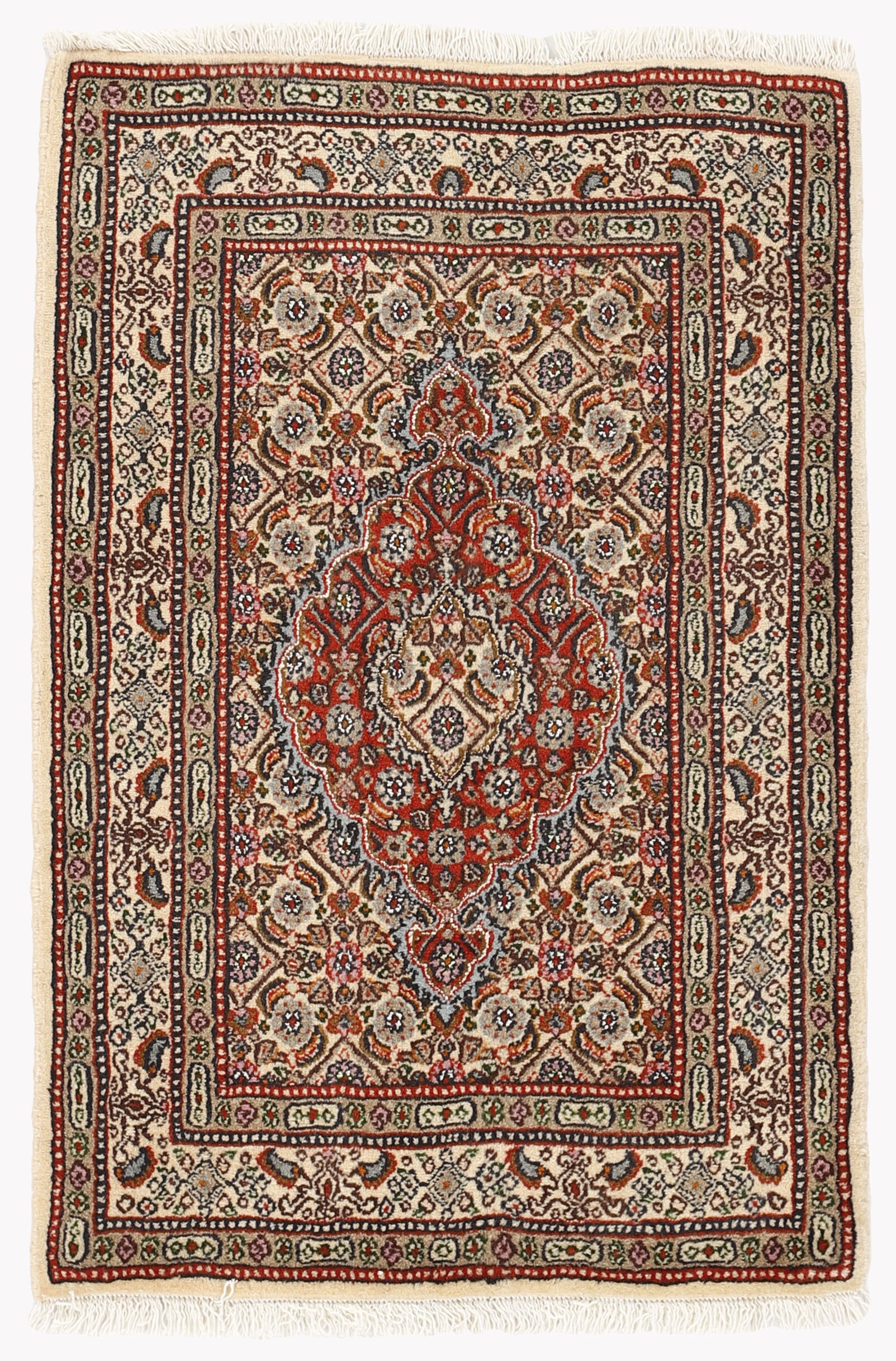 Moud Mahi 1492255