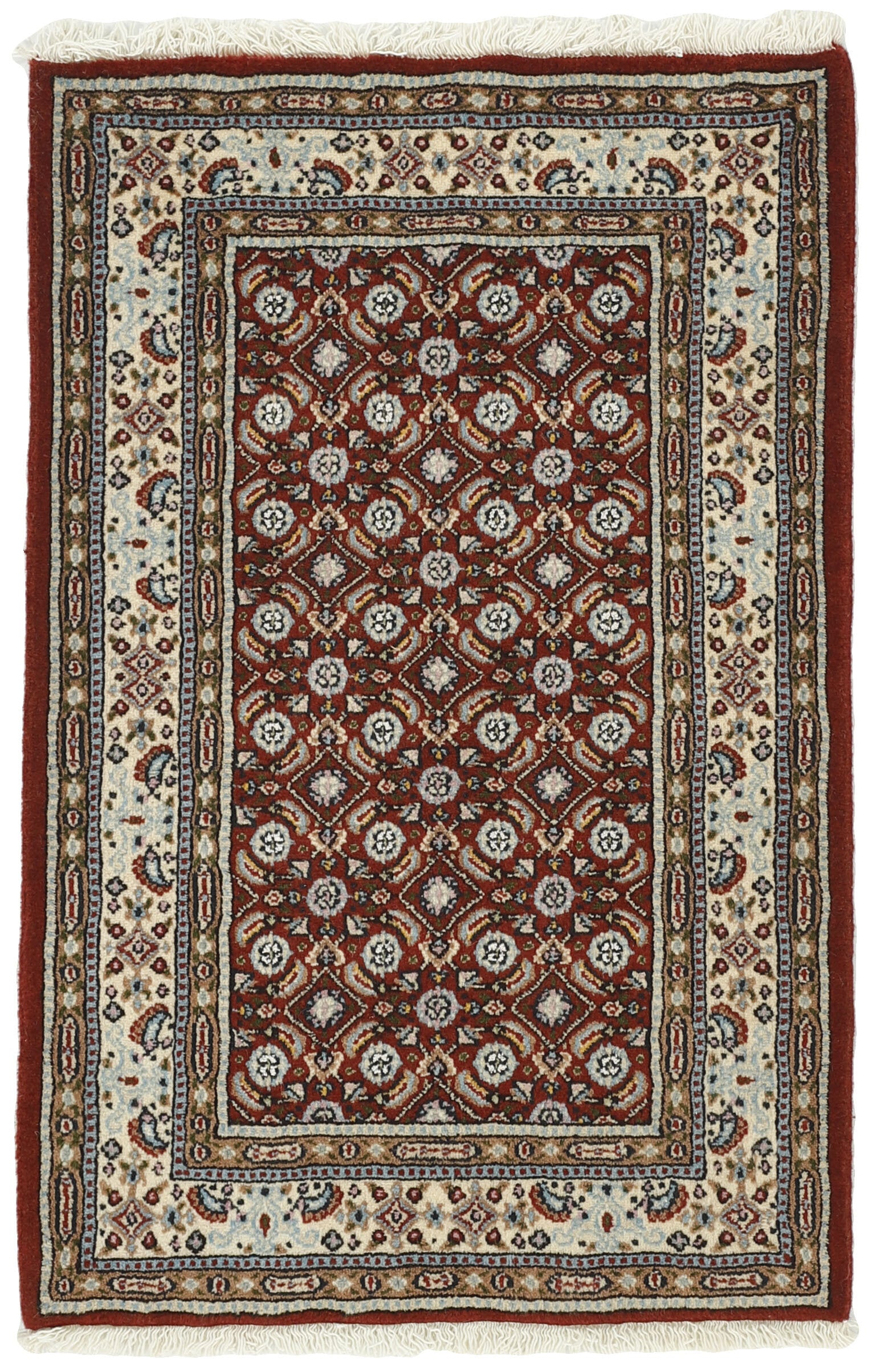 Moud Mahi 1492262
