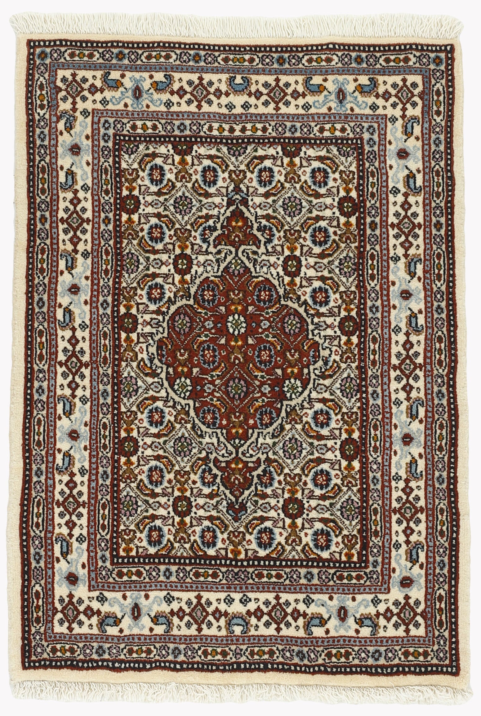 Moud Mahi 1492282