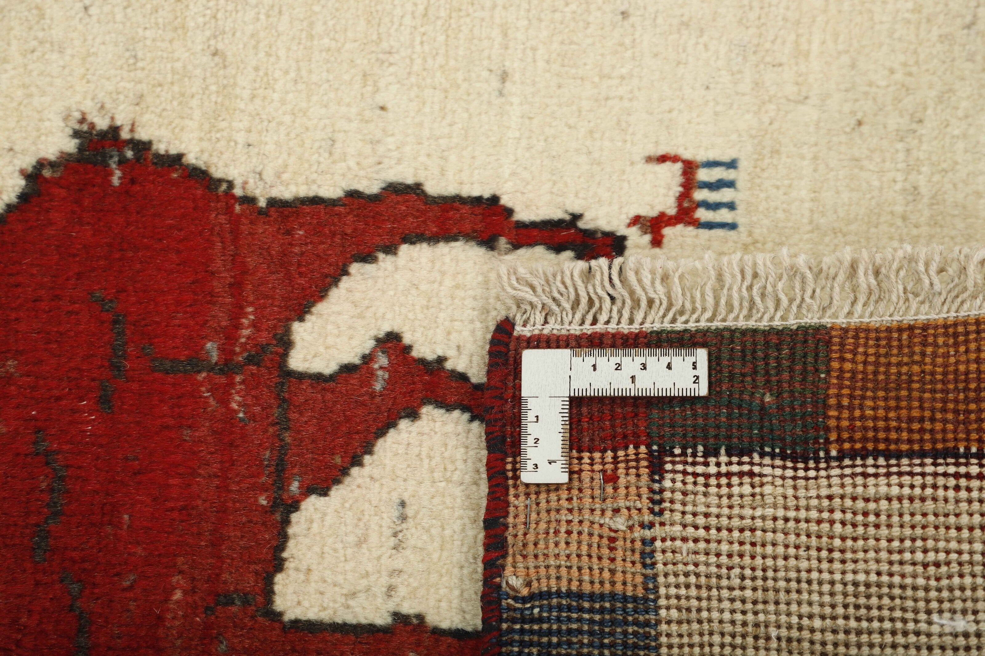 Shiraz Runner 1492841