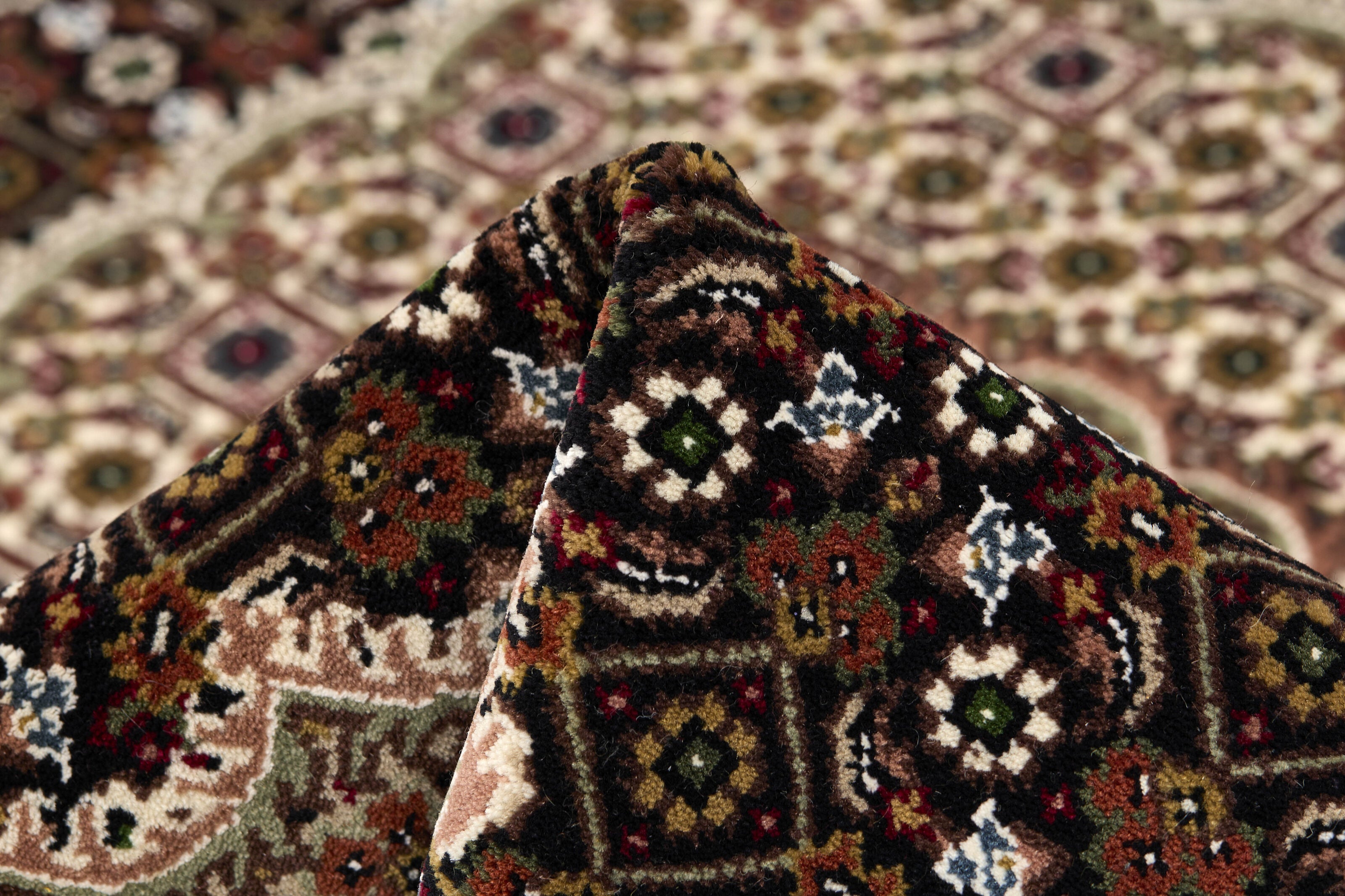 Tabriz Indi 1496880