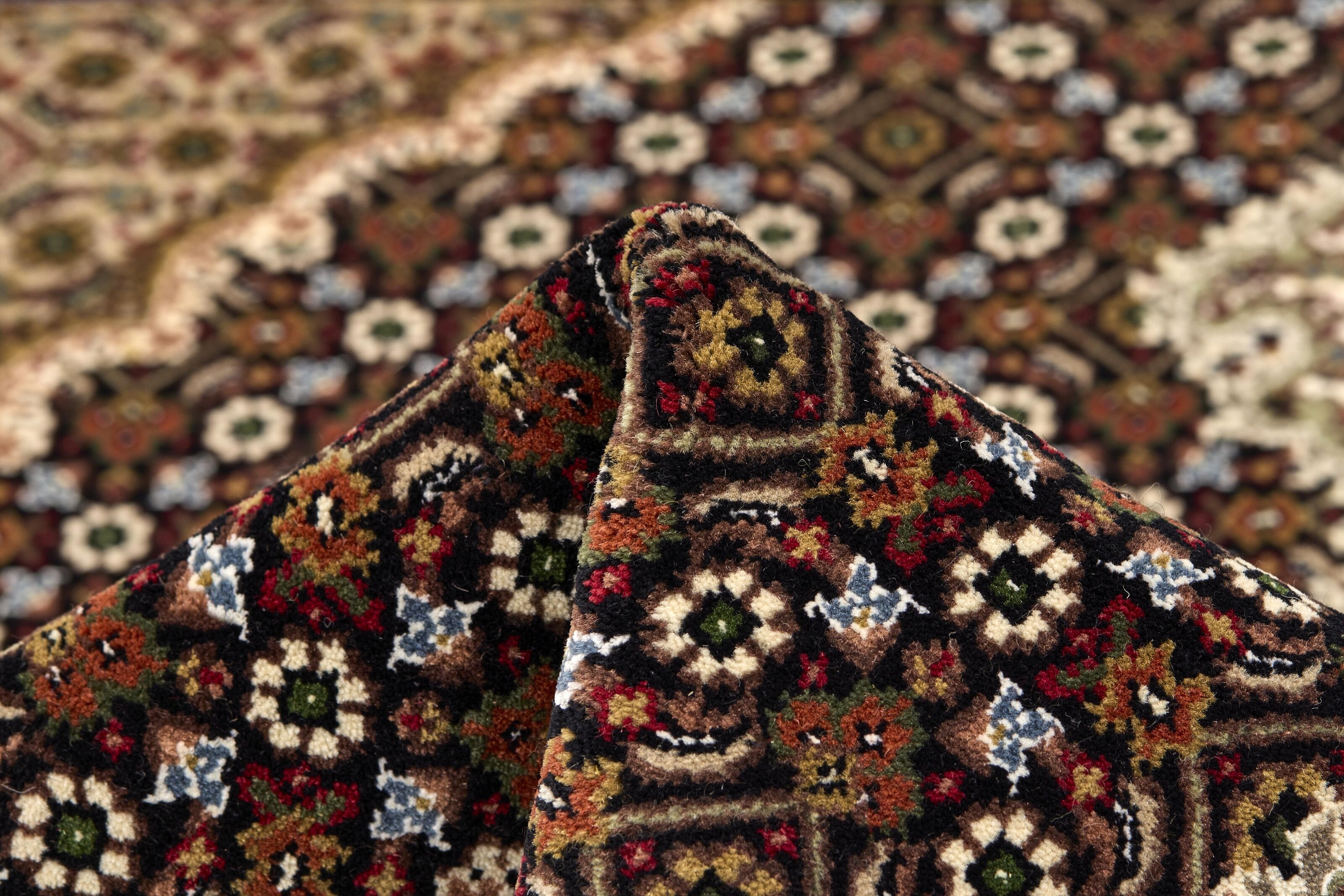 Tabriz Indi 1496891