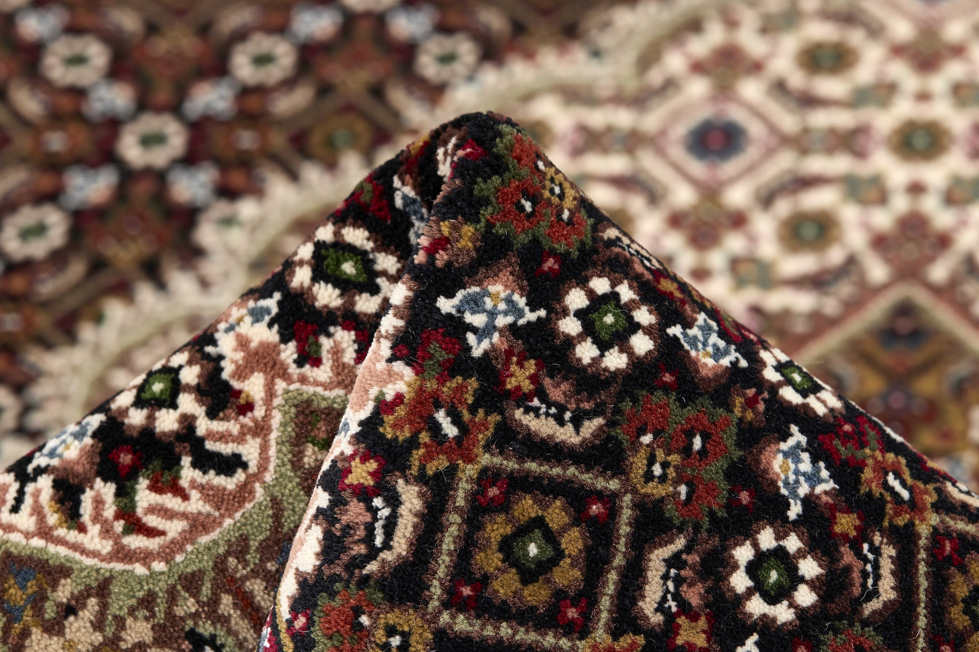 Tabriz Indi 1496892