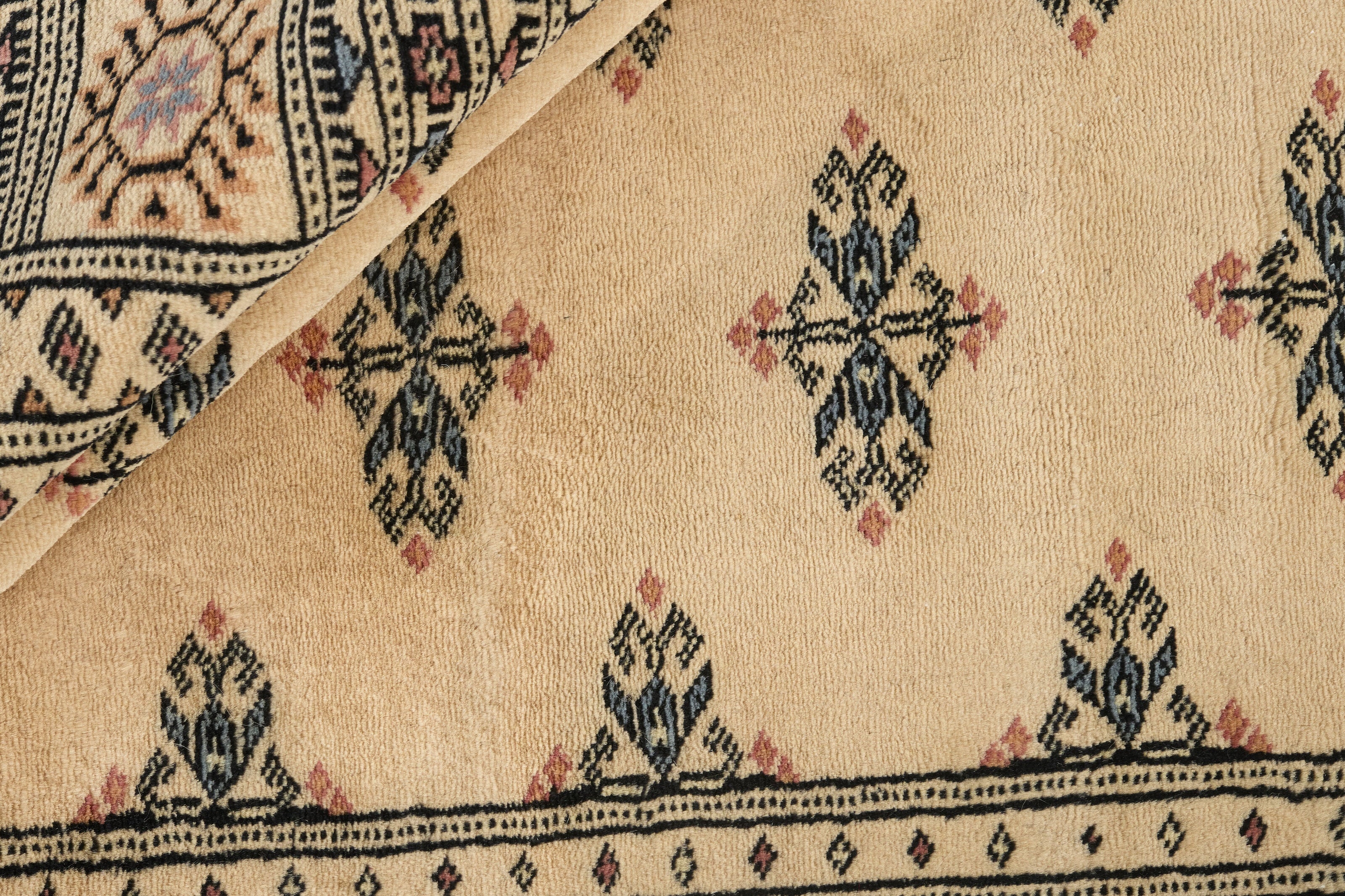 Bokhara 1497430