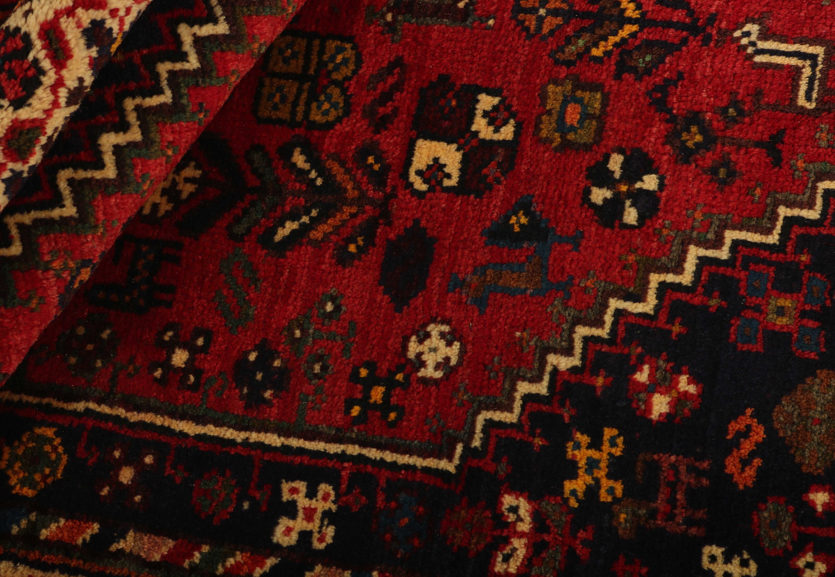 Shiraz 1499734