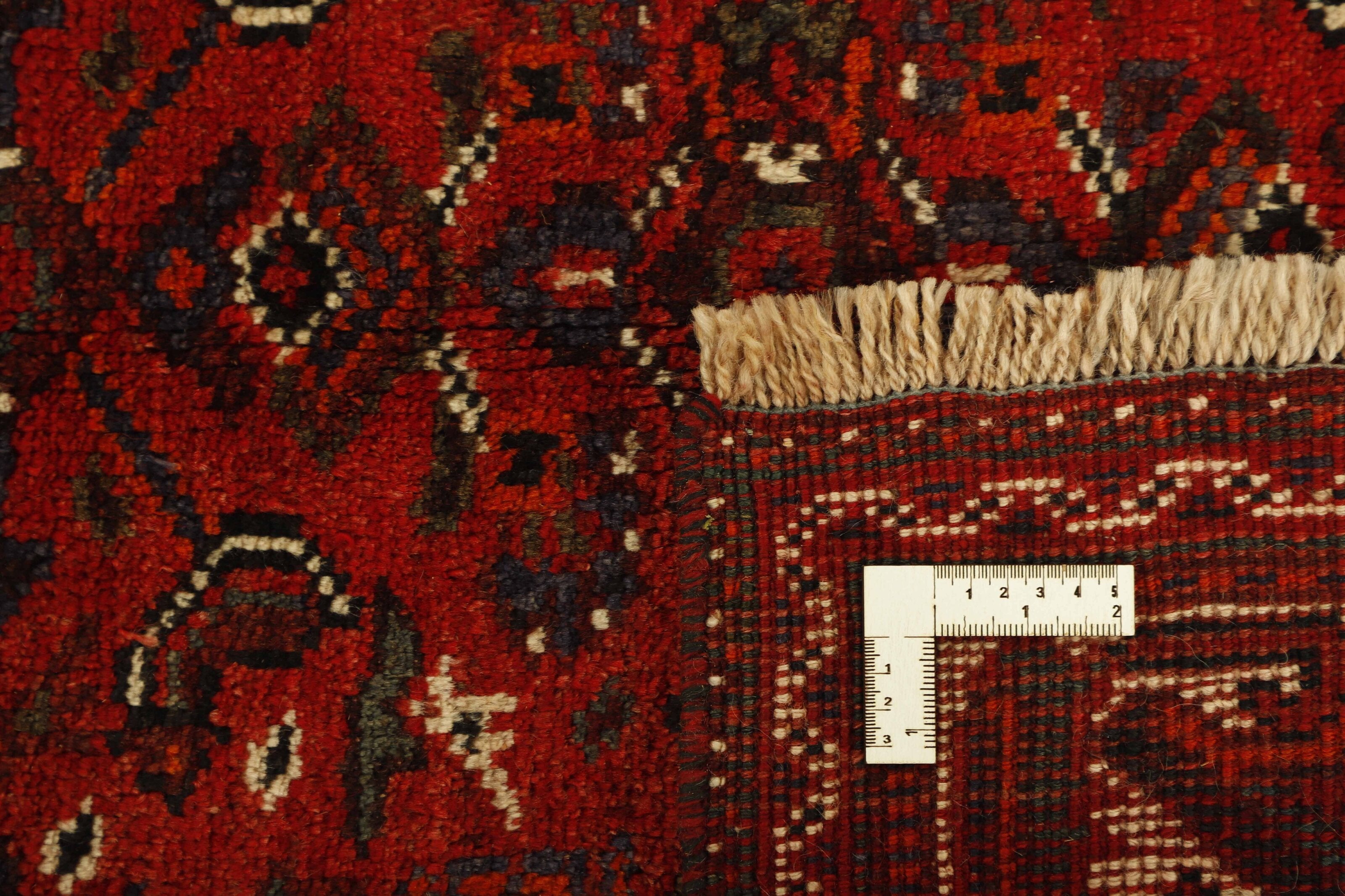 Shiraz 1499754