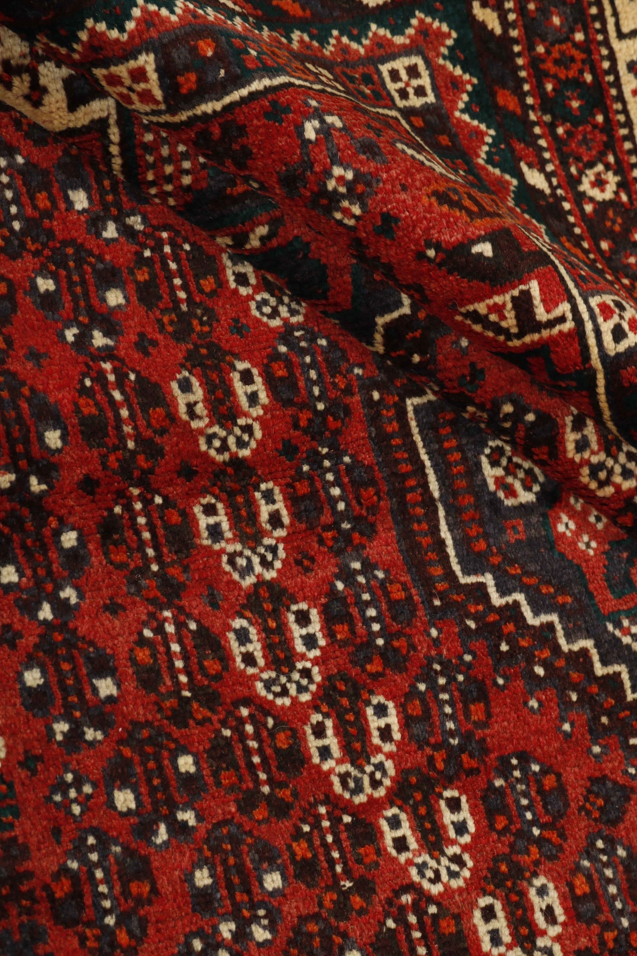 Shiraz 1499777