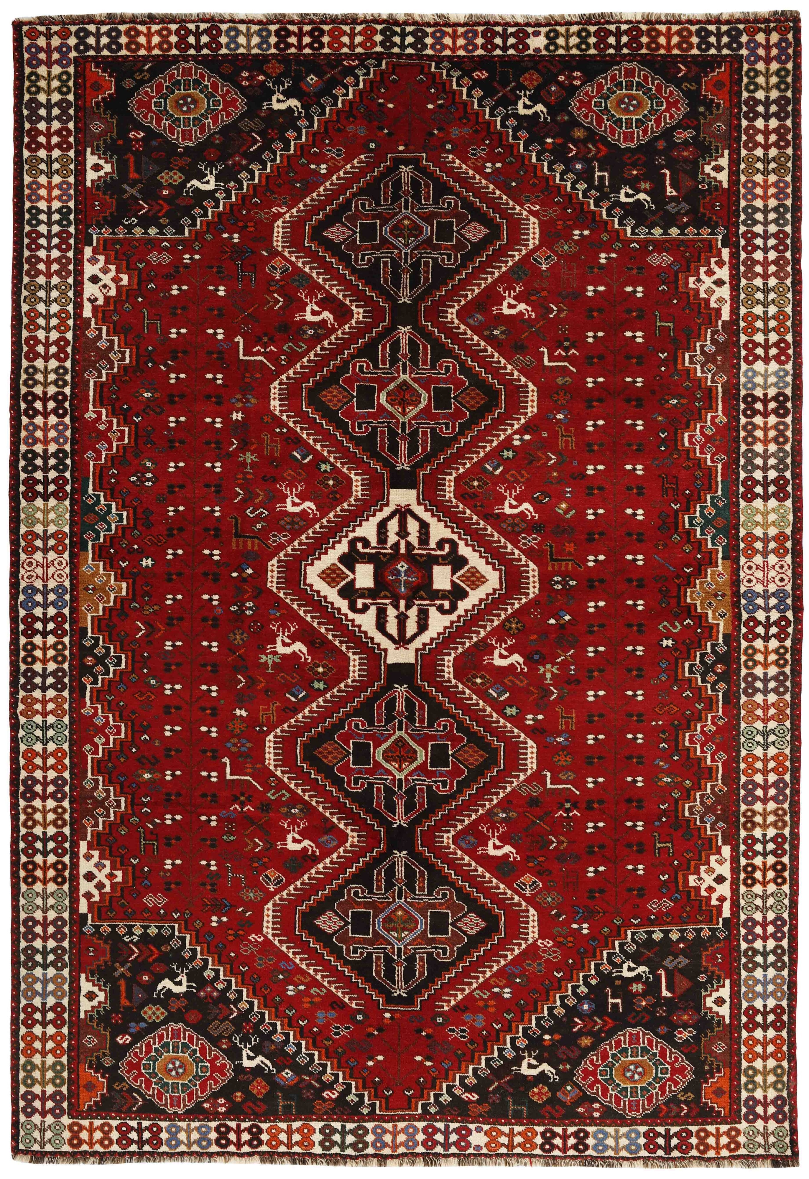 Shiraz 1499792