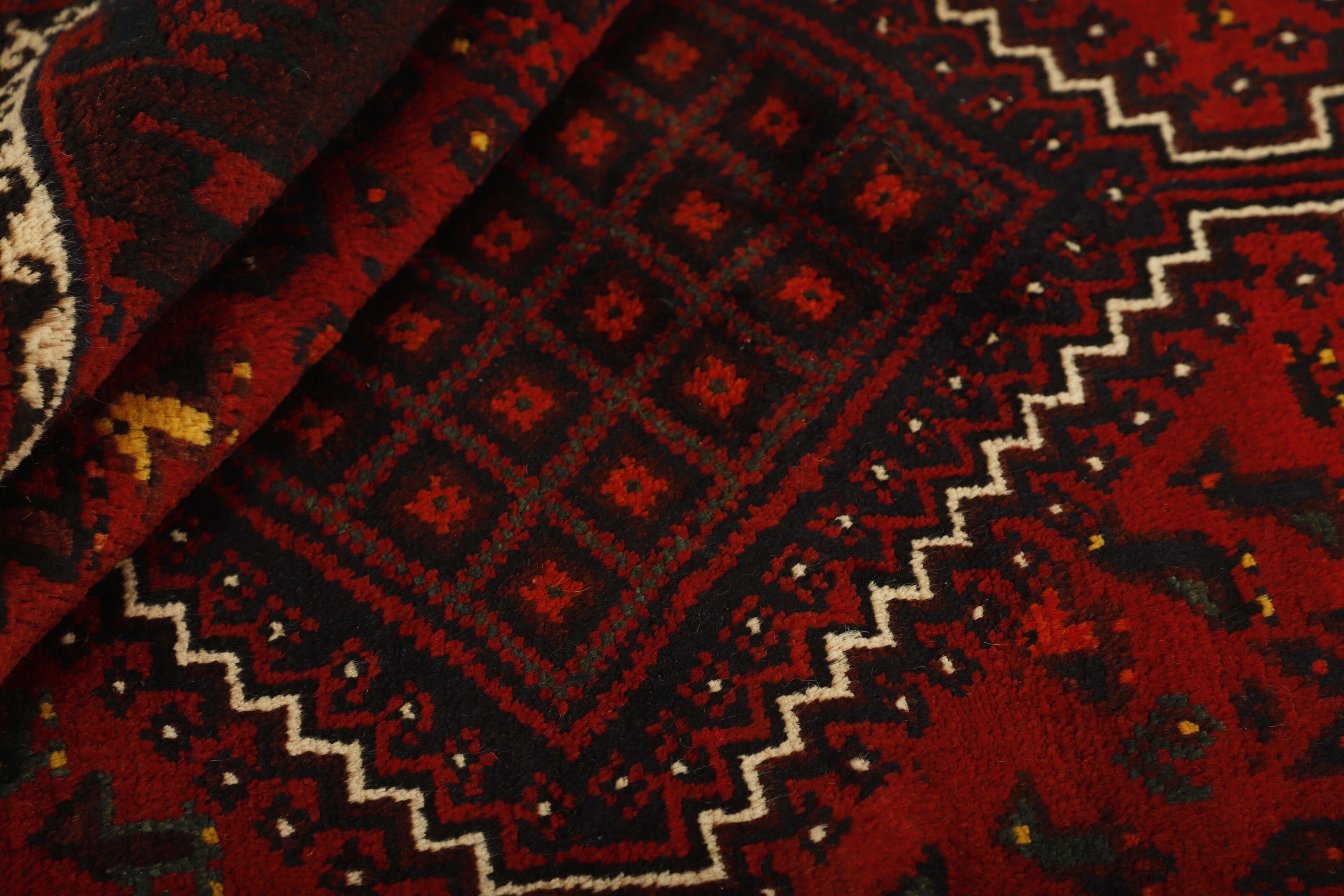 Shiraz 1499798