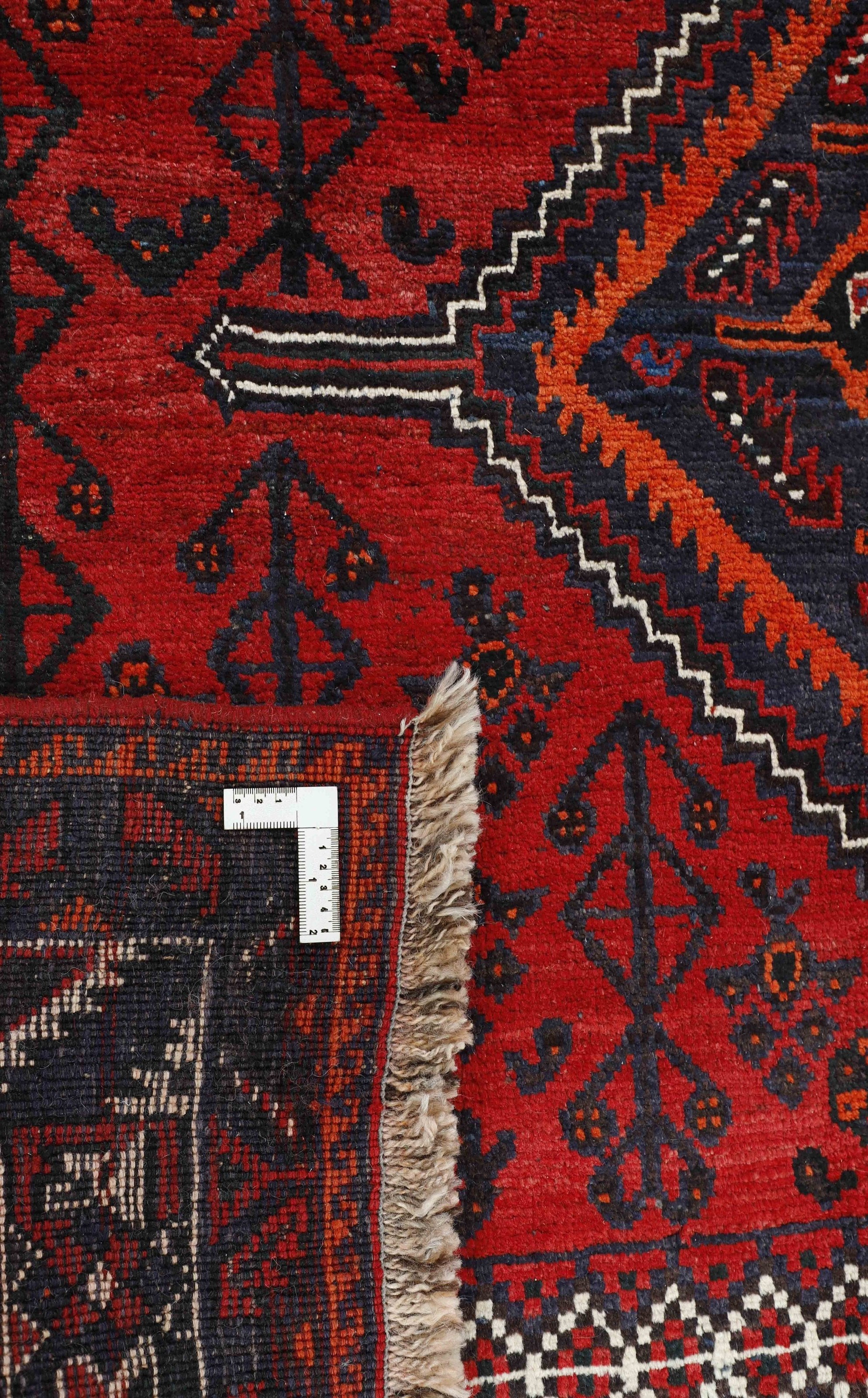 Shiraz 1499799