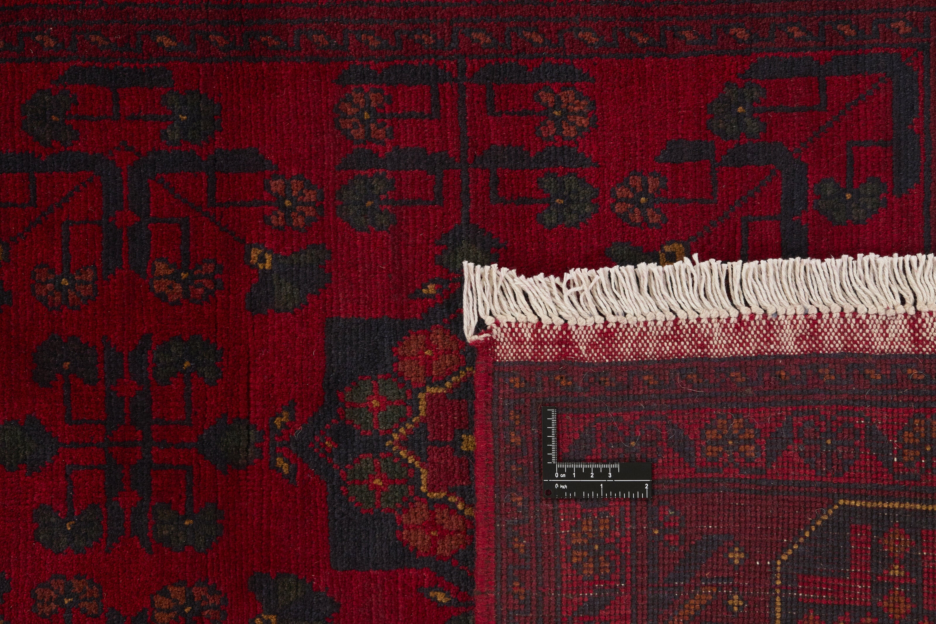 Old Afghan 1501122