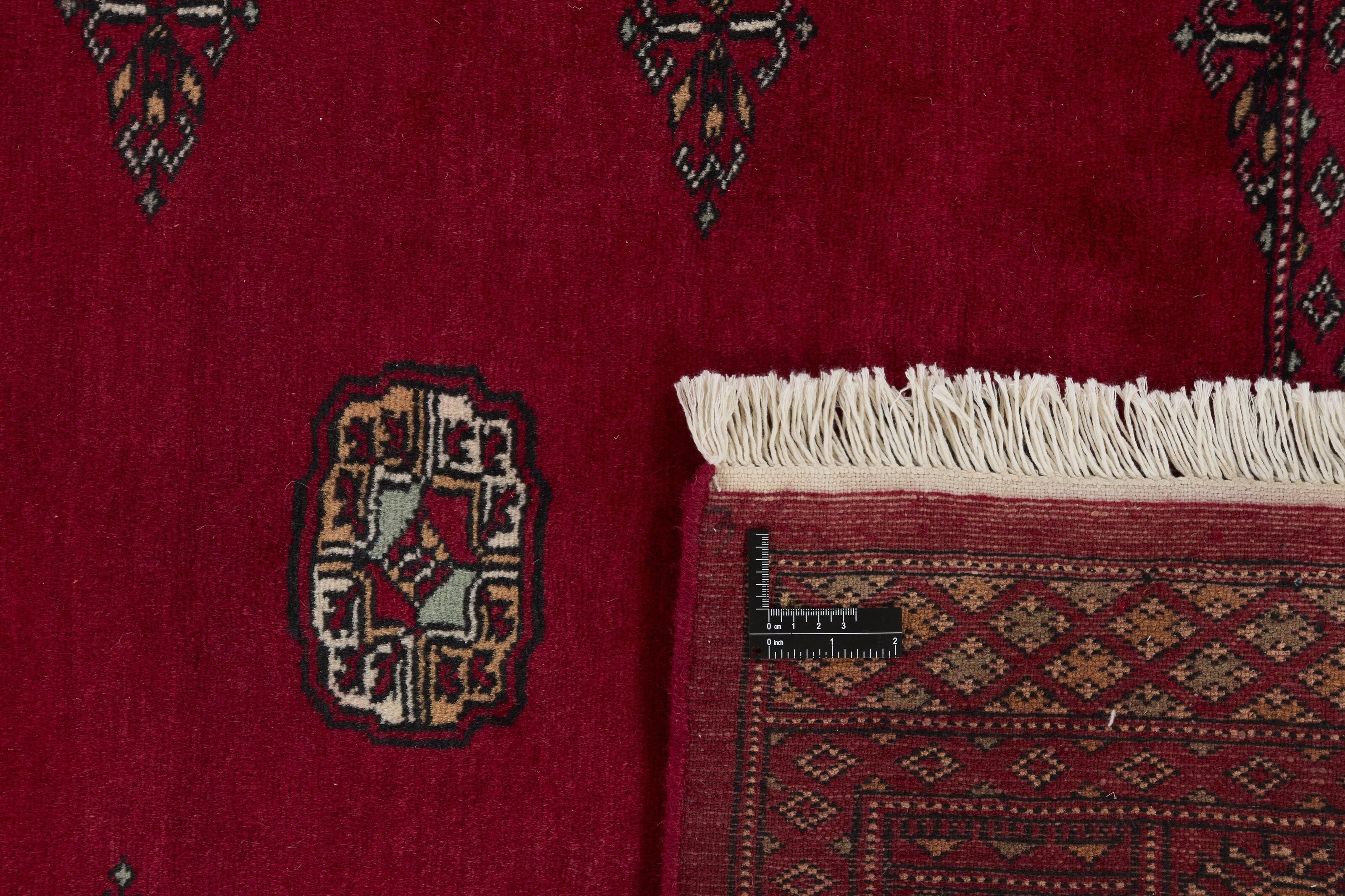 Bokhara 1513435