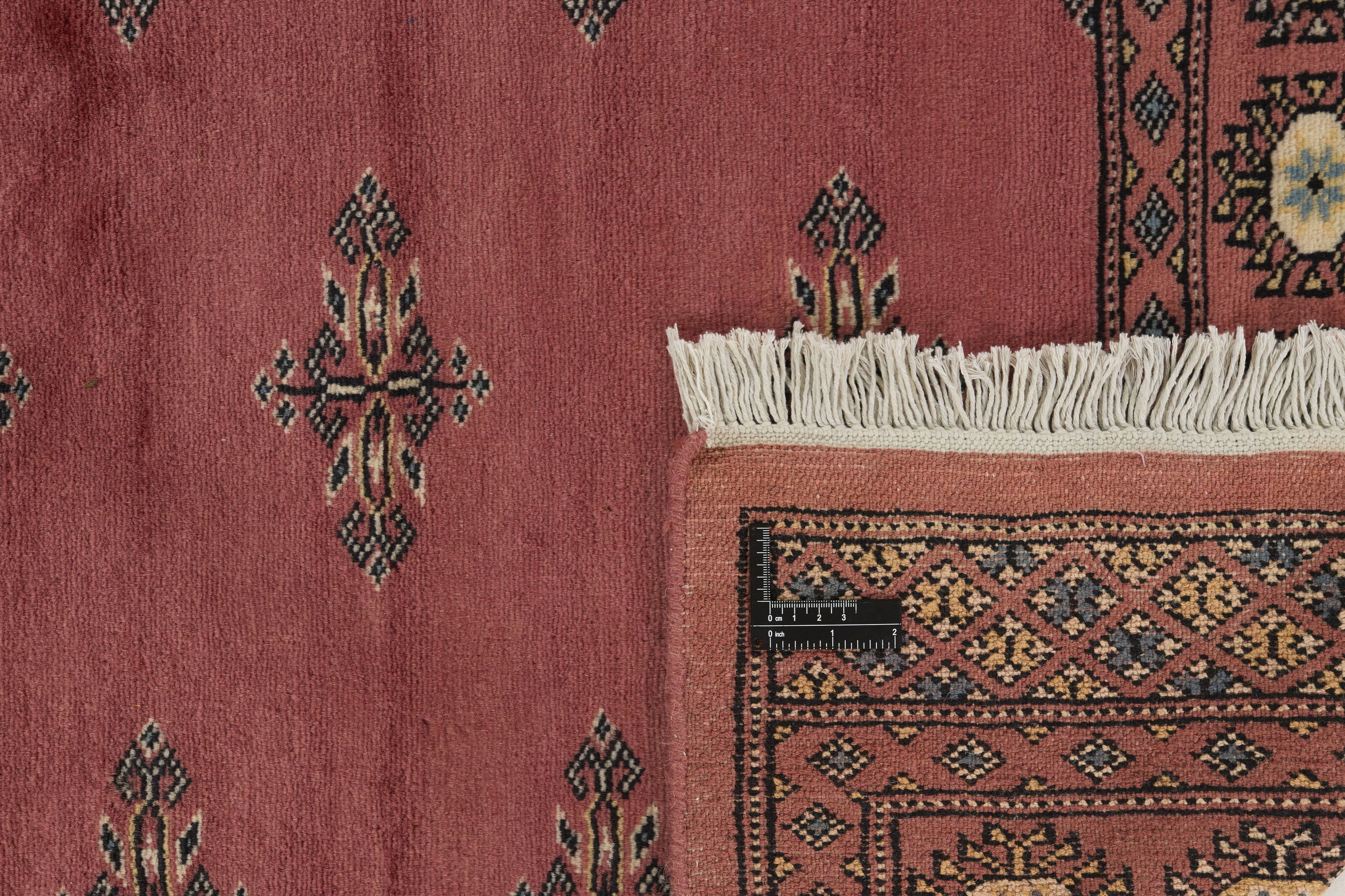 Bokhara 1513470