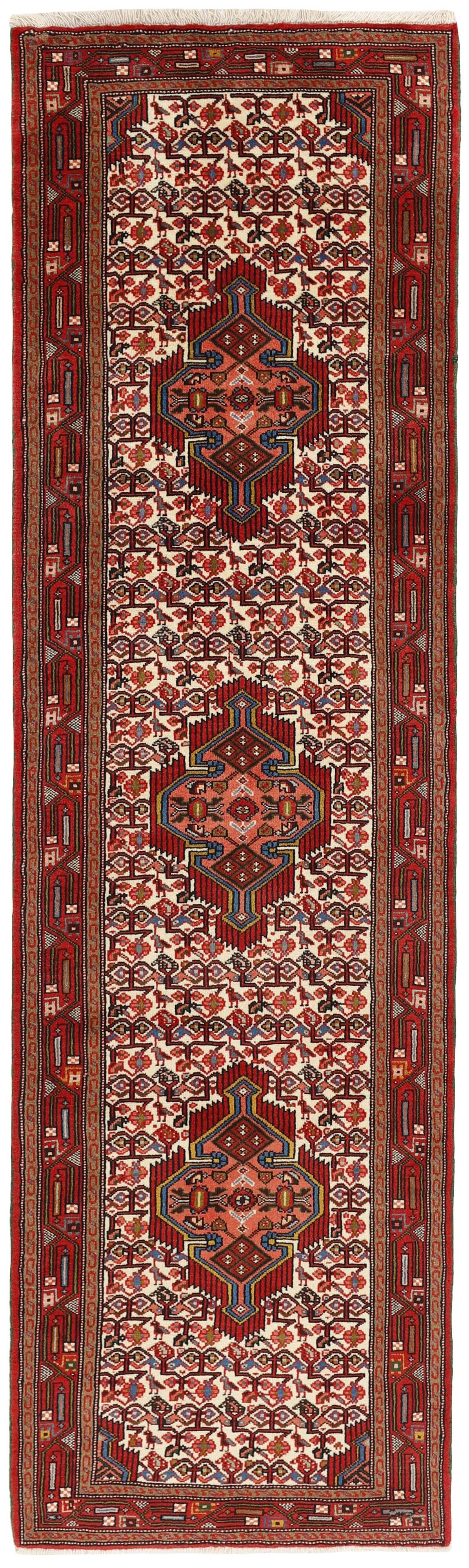 Asadabad Runner 1514383
